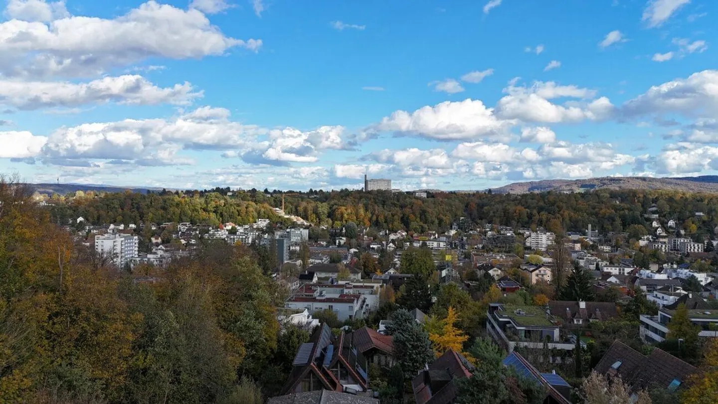 Casa unifamiliare con grande proprietà a Bottmingen in affitto per 3 anni - Foto 12 di 12
