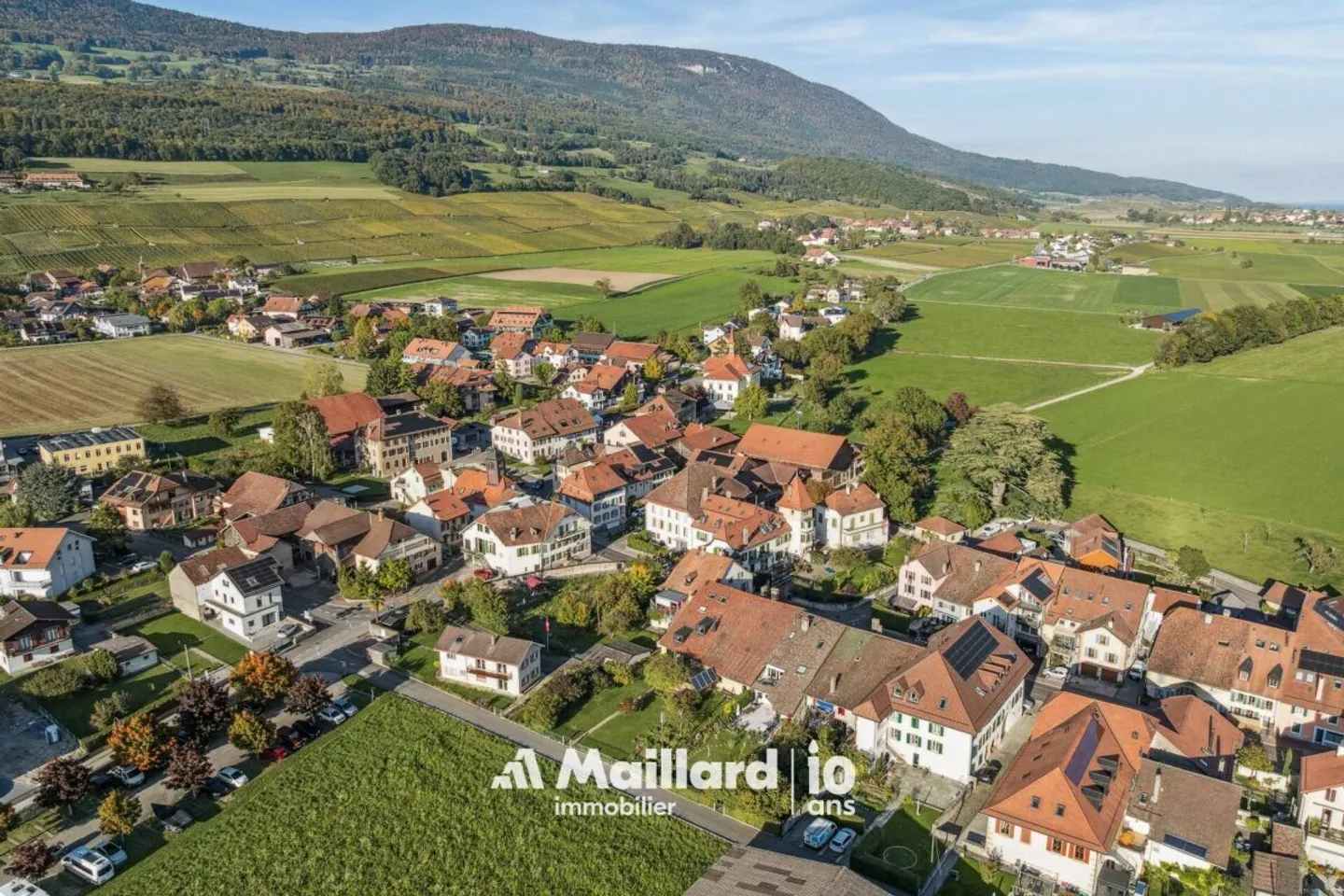Champagne - Casa di villaggio con giardino - Foto 20 di 21