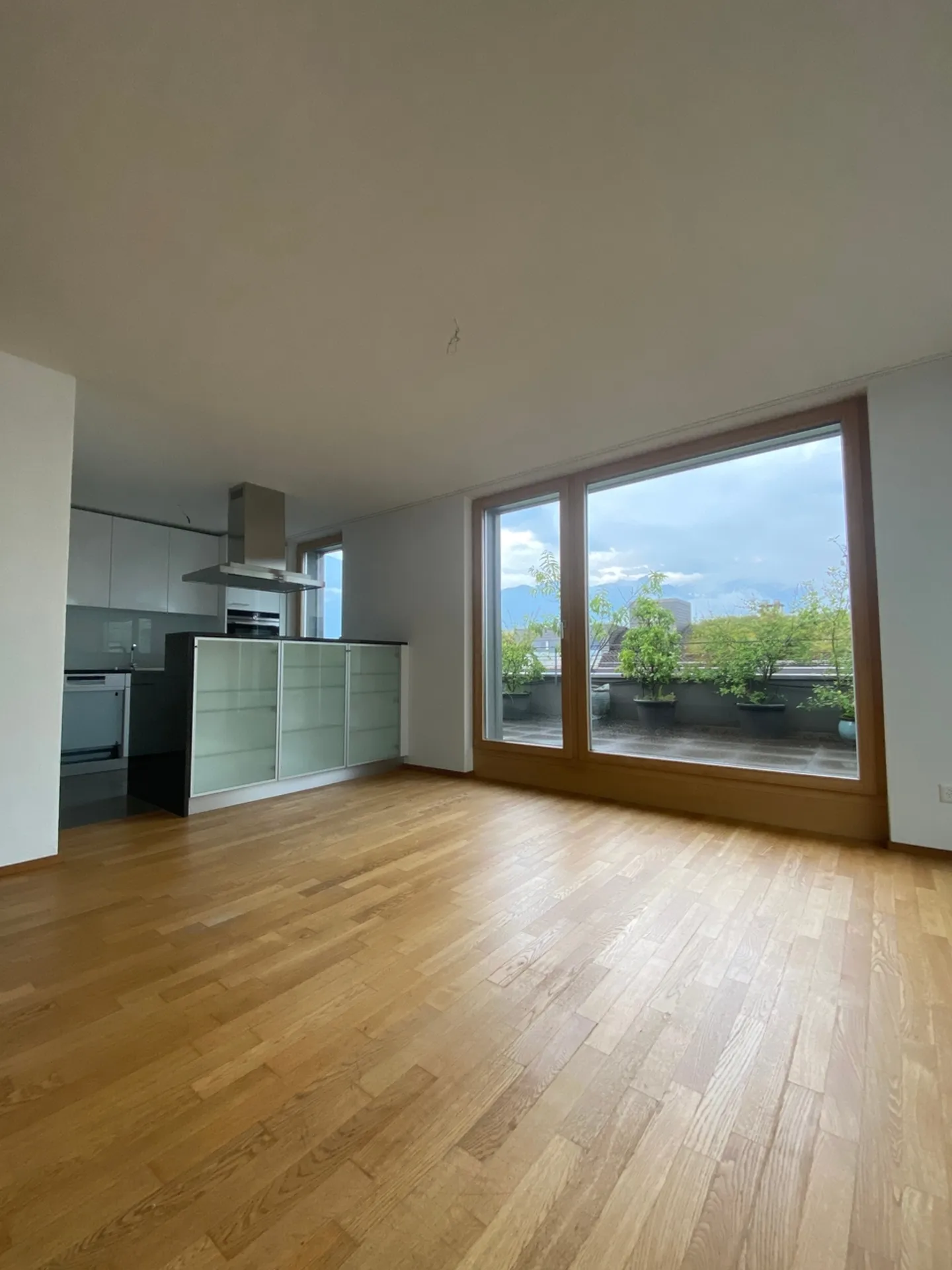 Exclusive 5.5-room penthouse apartment with winter garden, terrace and Minergie standard in Buchs SG - Photo 1 of 13
