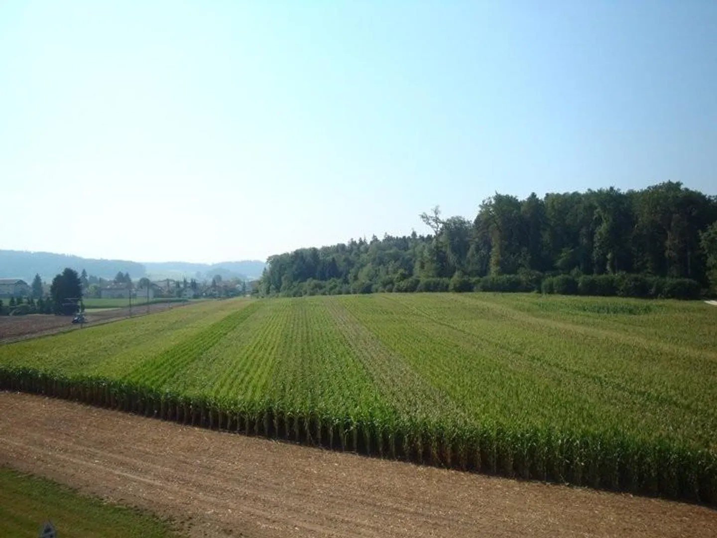 Beautiful 2-room apartment in a quiet location in Langenthal for rent - Photo 8 of 8