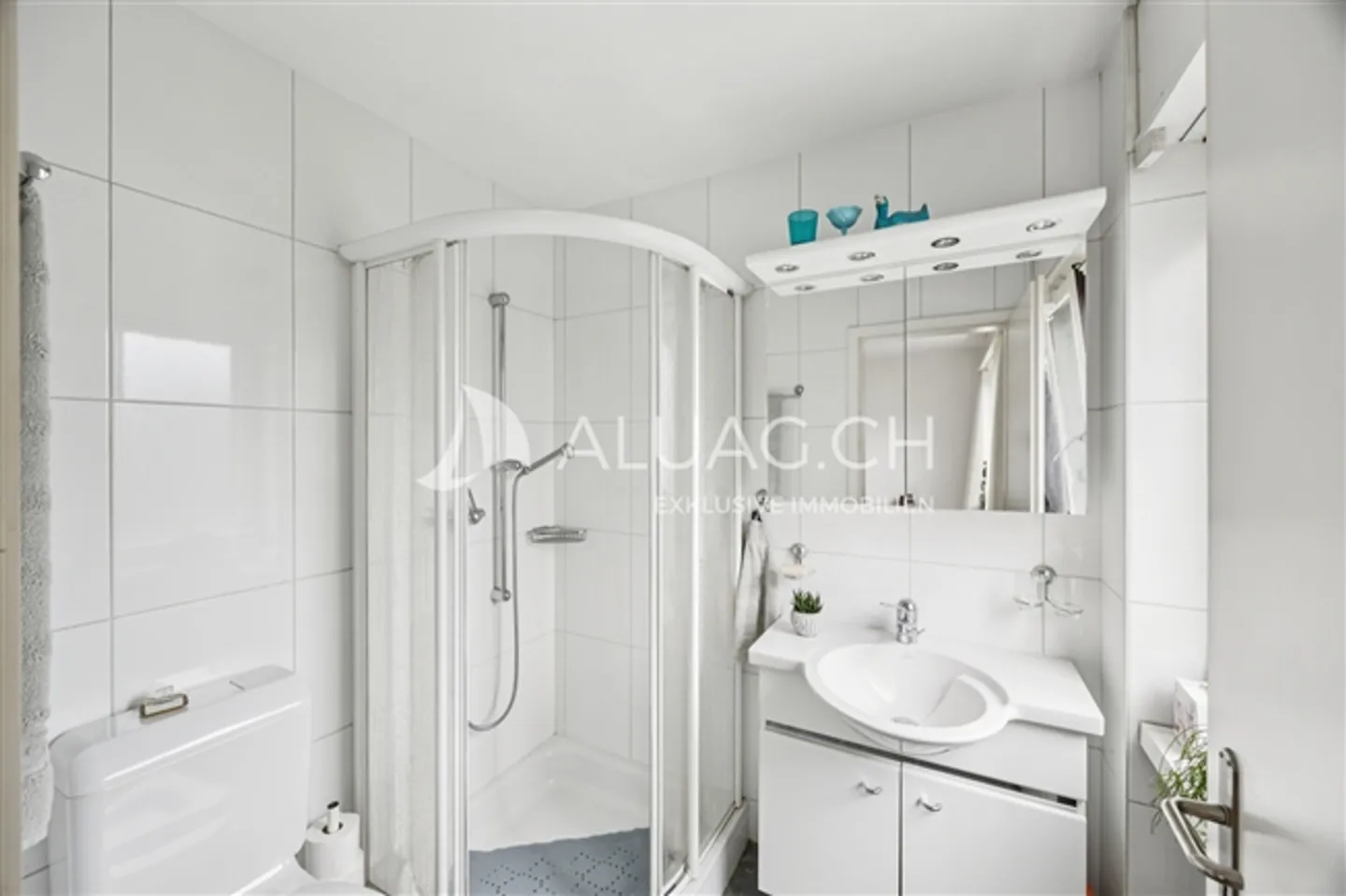 REGARDER VERS L'AVENIR ET INVESTIR - Photo 7 sur 12