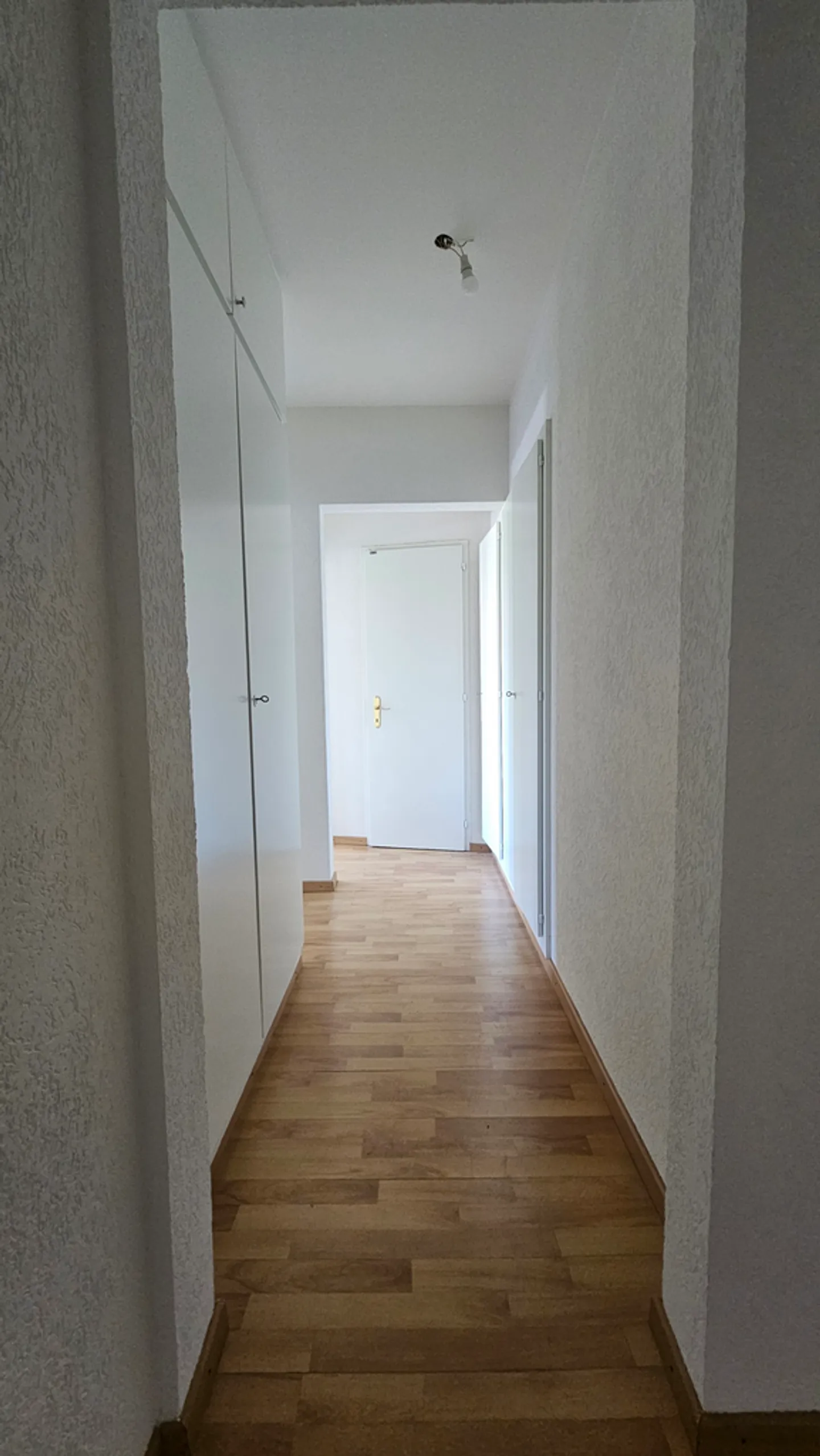 Appartement spacieux à Onex - Photo 3 sur 11