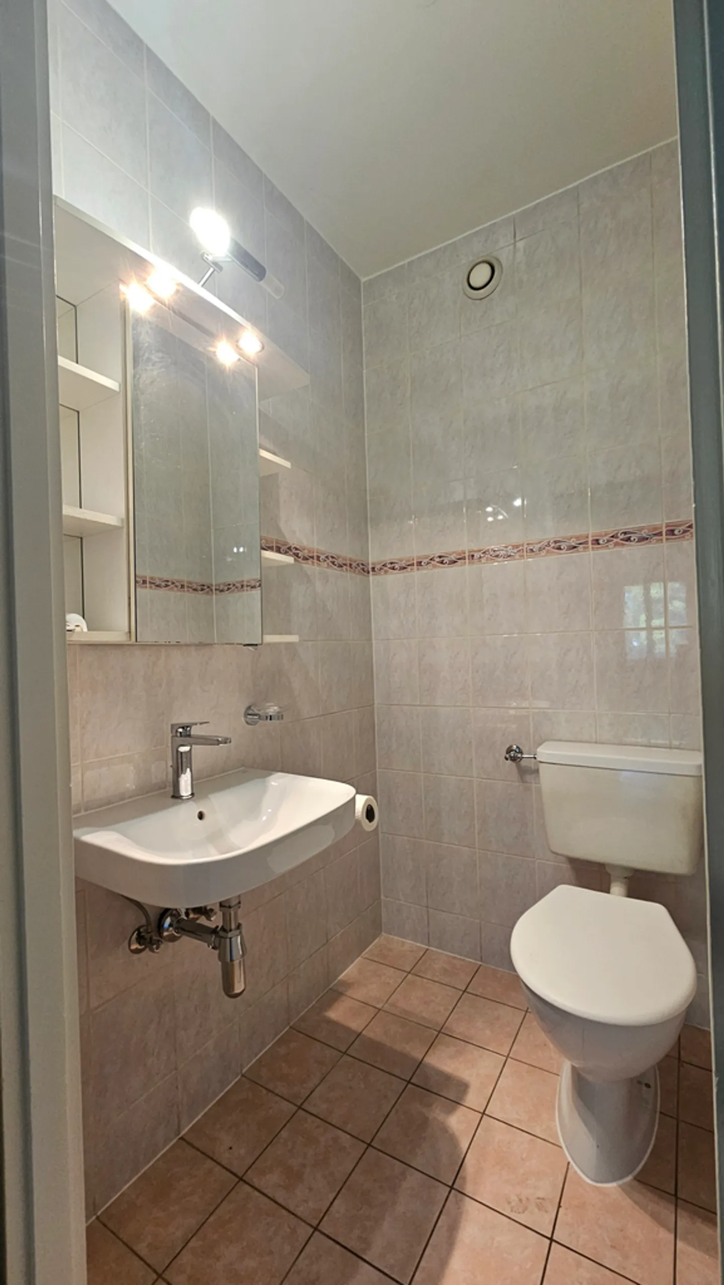 Appartement spacieux à Onex - Photo 6 sur 11