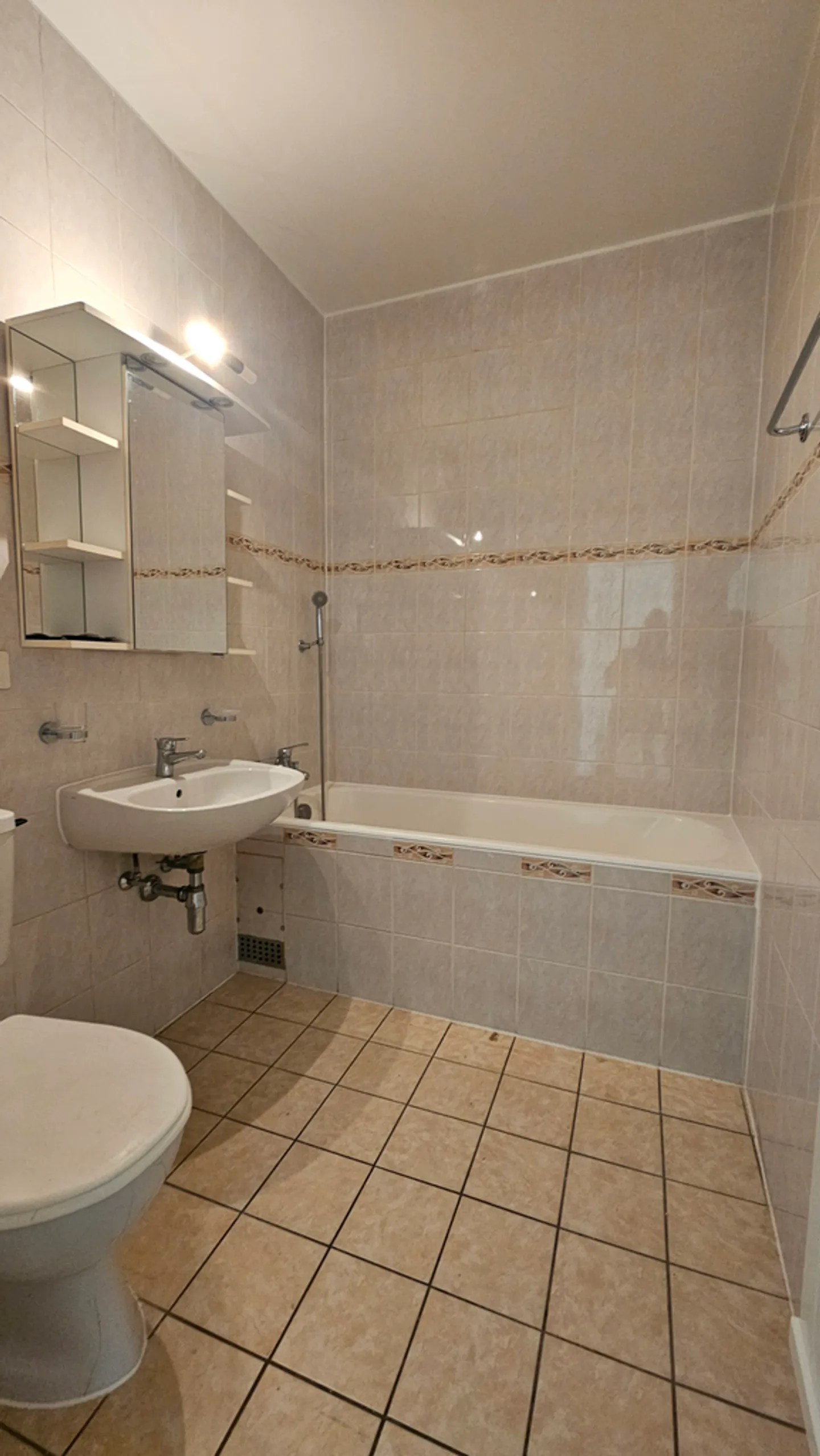 Appartement spacieux à Onex - Photo 8 sur 11
