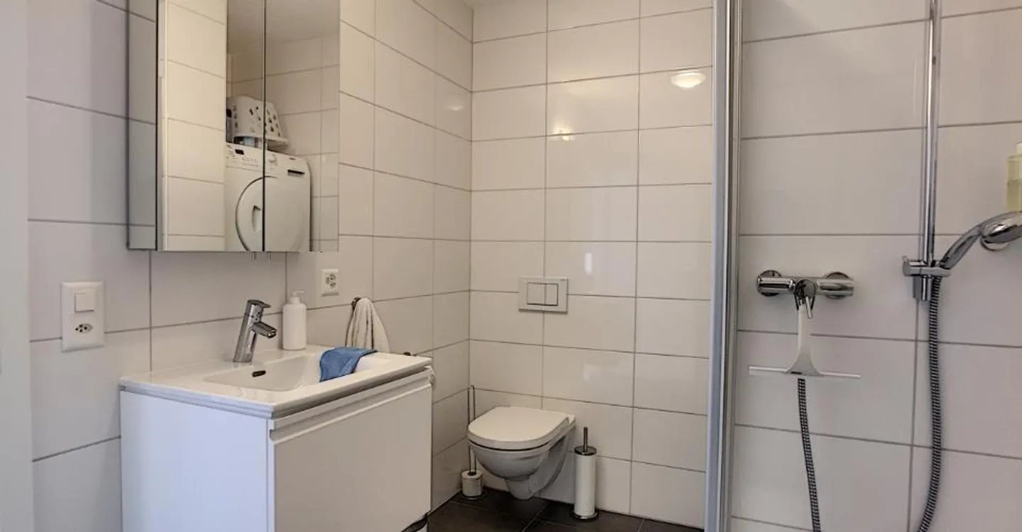 Sierre: grande appartamento 3.5 locali vicino al centro città - Foto 5 di 6