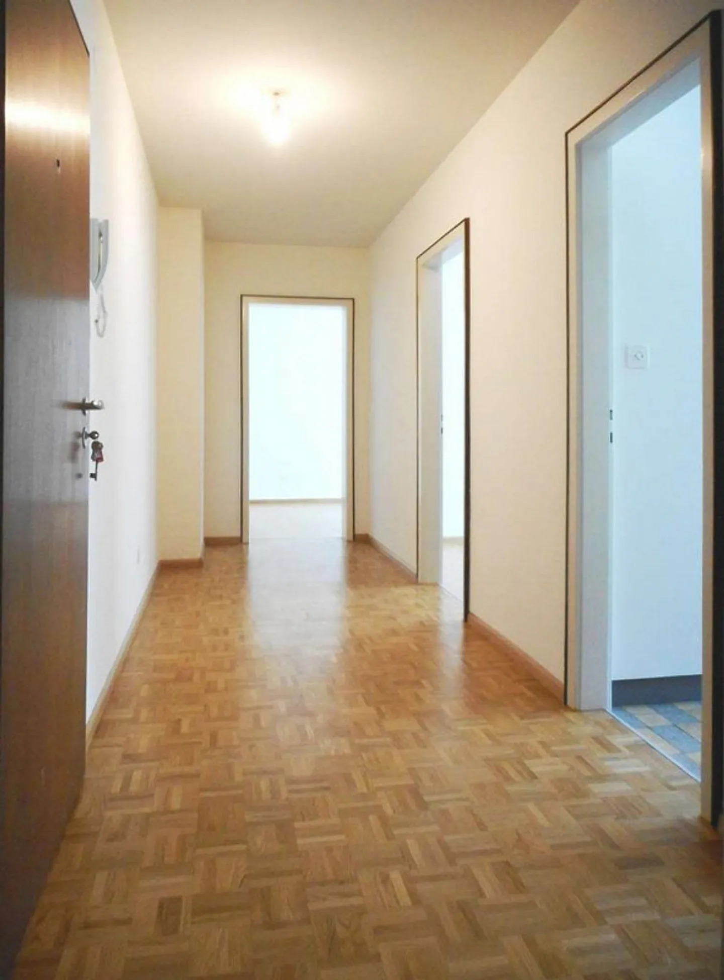 Shopping opportunity doesn't get any closer! - Photo 3 of 8