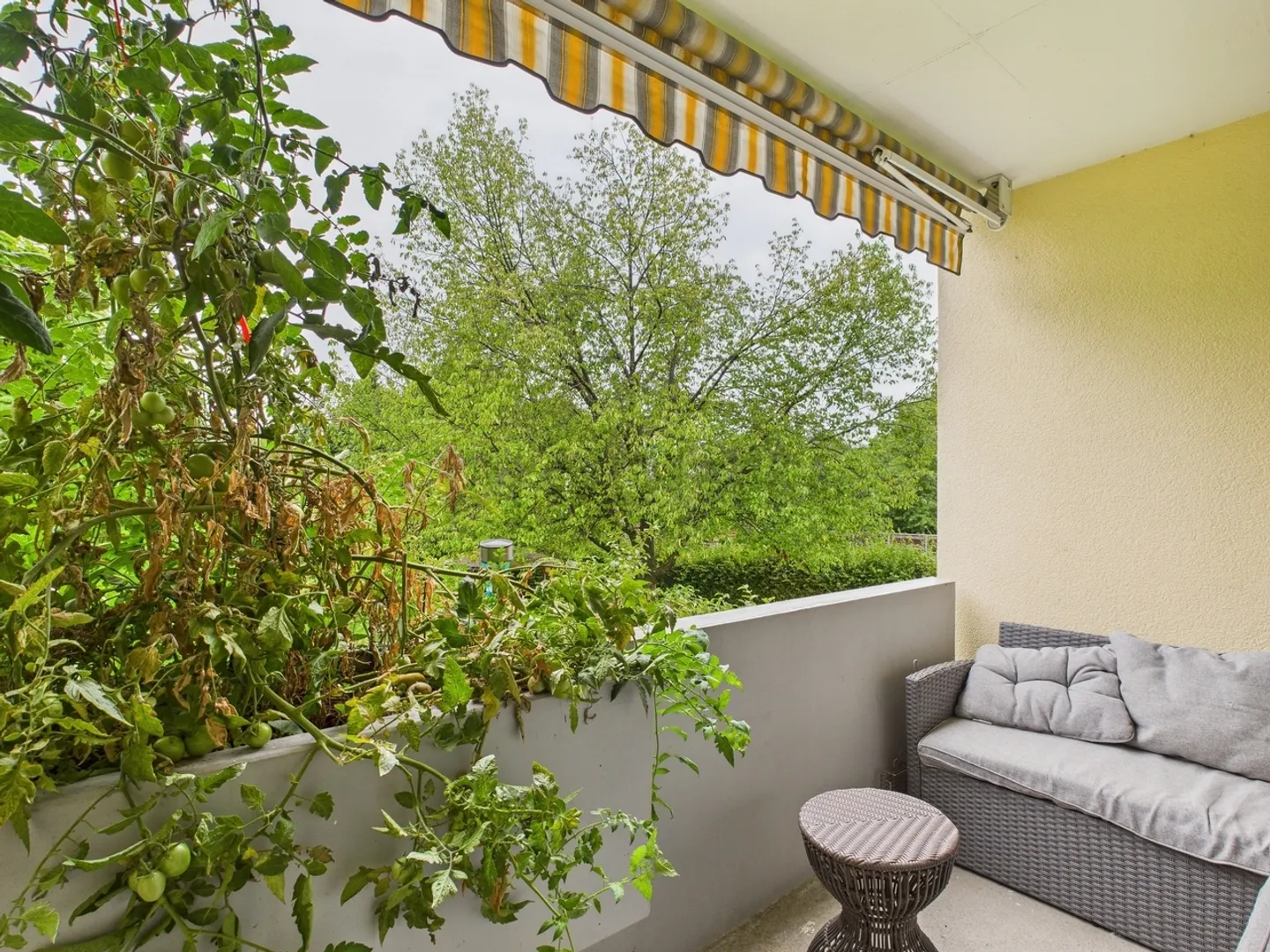 Appartamento elegante di 4,5 locali con balcone, vista panoramica e posizione adatta alle famiglie a Reiden - Foto 8 di 12