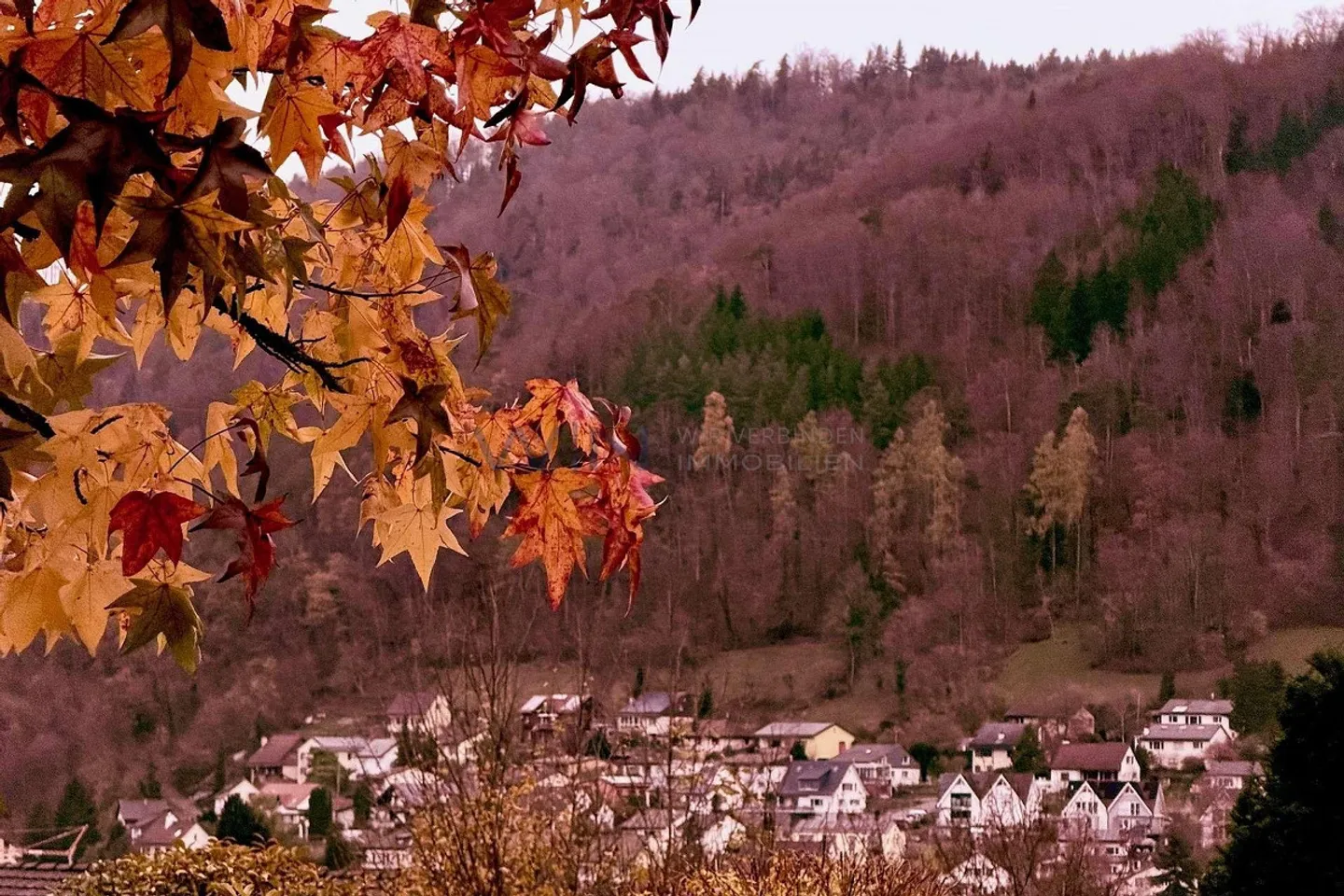 Une maison qui respire le calme - Photo 1 sur 7