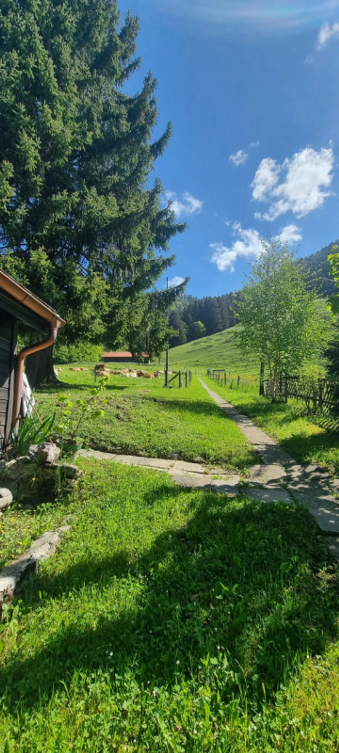 Chalet à réinventer - Photo 8 sur 12