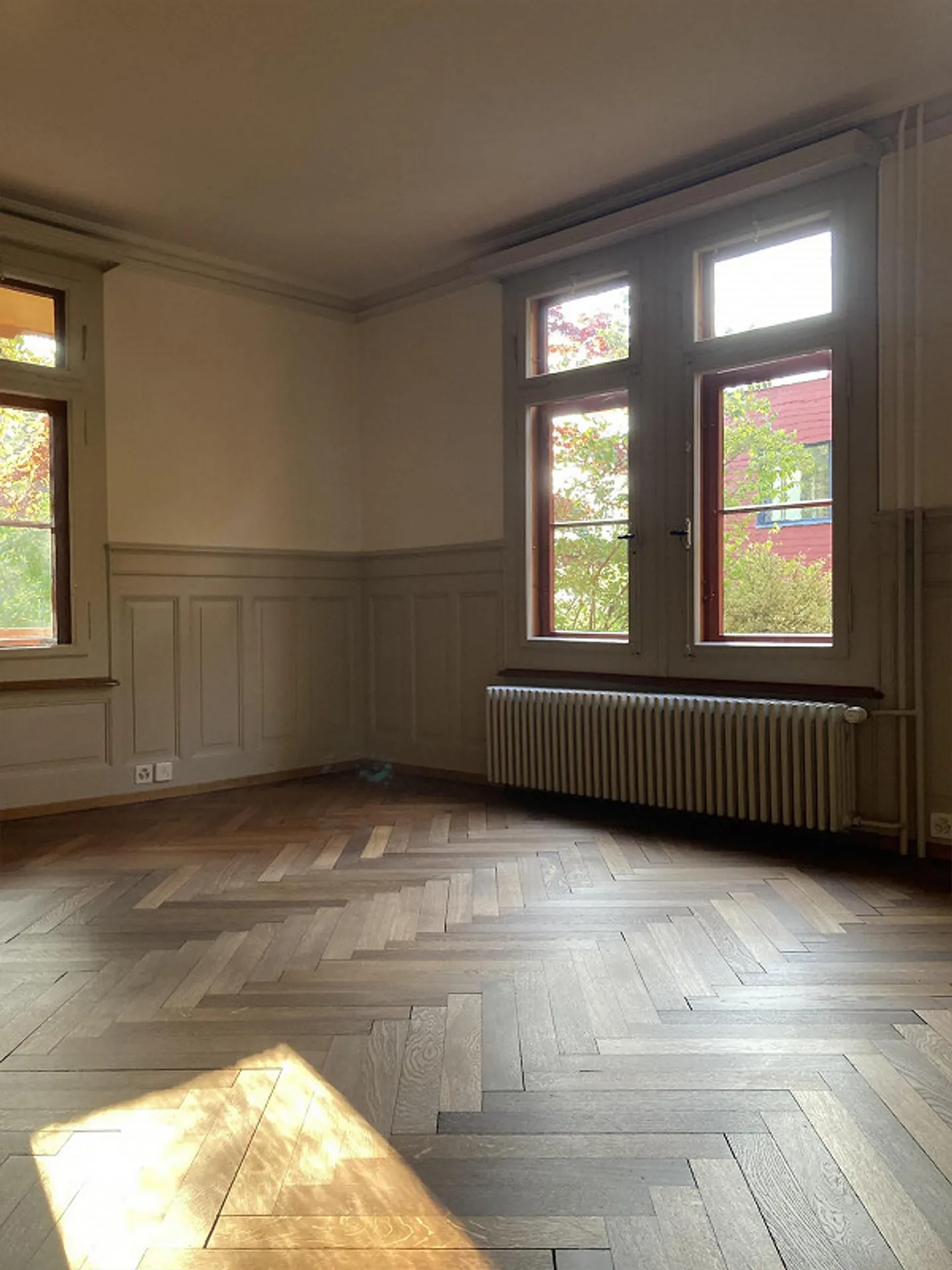5.5-room apartment in Art Nouveau house, close to the city and nature - Photo 6 of 14
