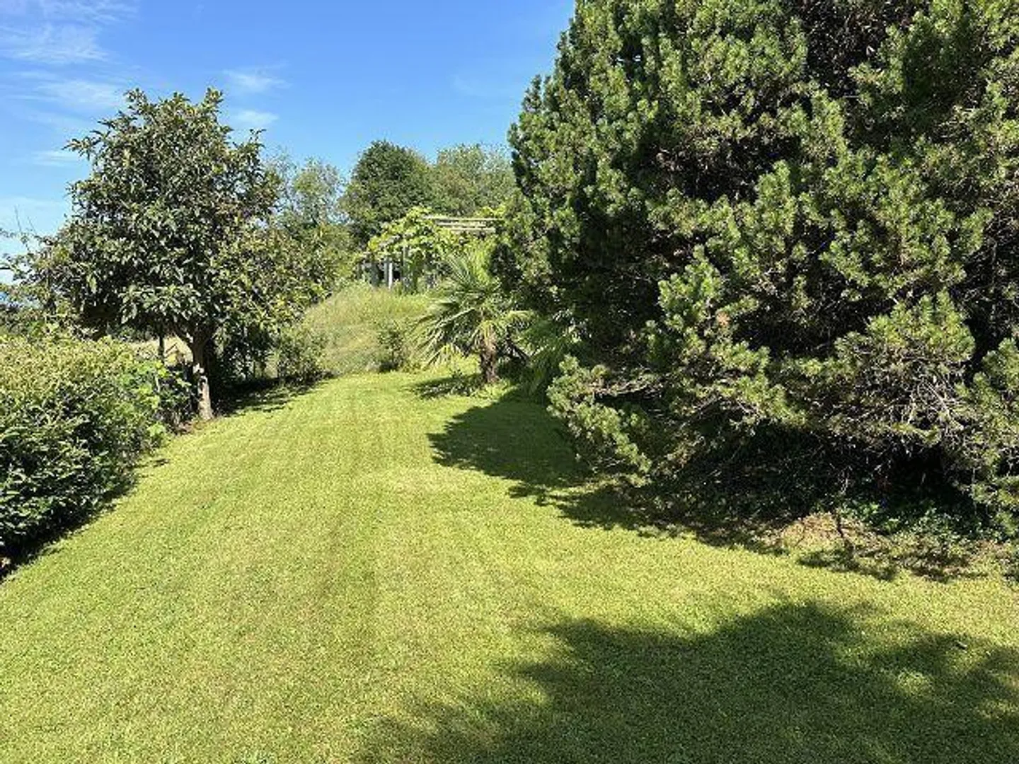 Villetta di 5 1/2 locali con giardino e riserva di costruzione in una posizione molto tranquilla e soleggiata - Foto 26 di 36