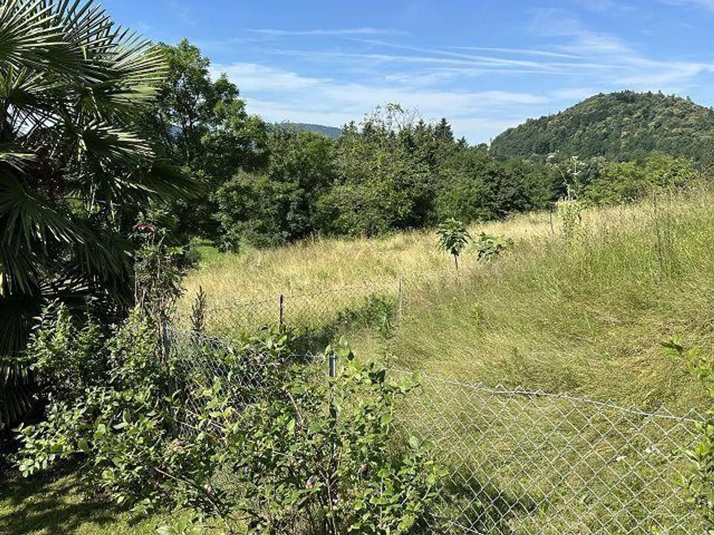 Villetta di 5 1/2 locali con giardino e riserva di costruzione in una posizione molto tranquilla e soleggiata - Foto 31 di 36
