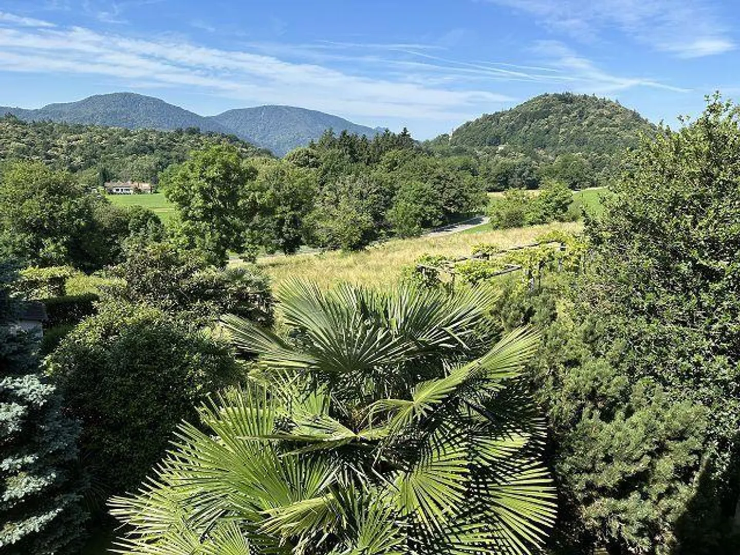 Villetta di 5 1/2 locali con giardino e riserva di costruzione in una posizione molto tranquilla e soleggiata - Foto 32 di 36