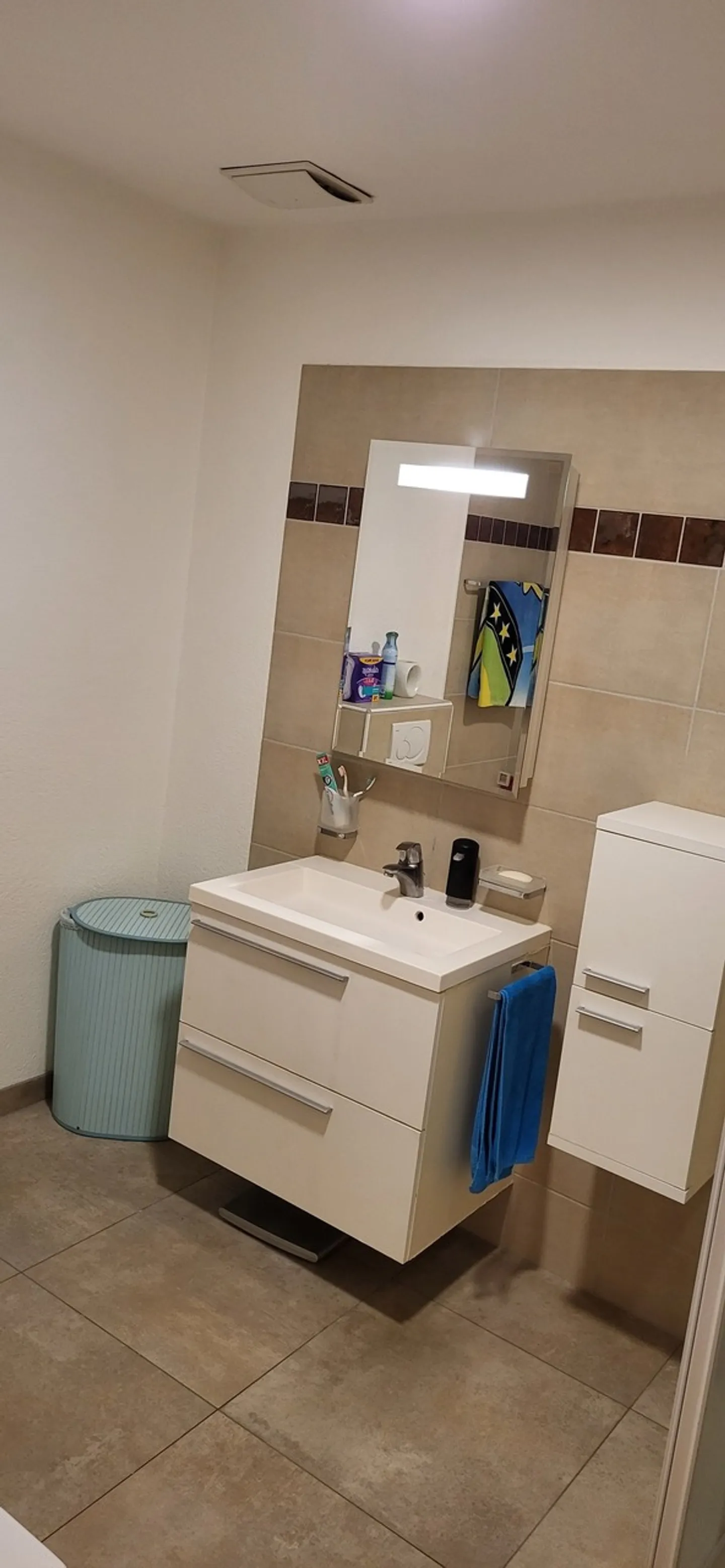 Magnifico Duplex di 5,5 stanze - Foto 7 di 8