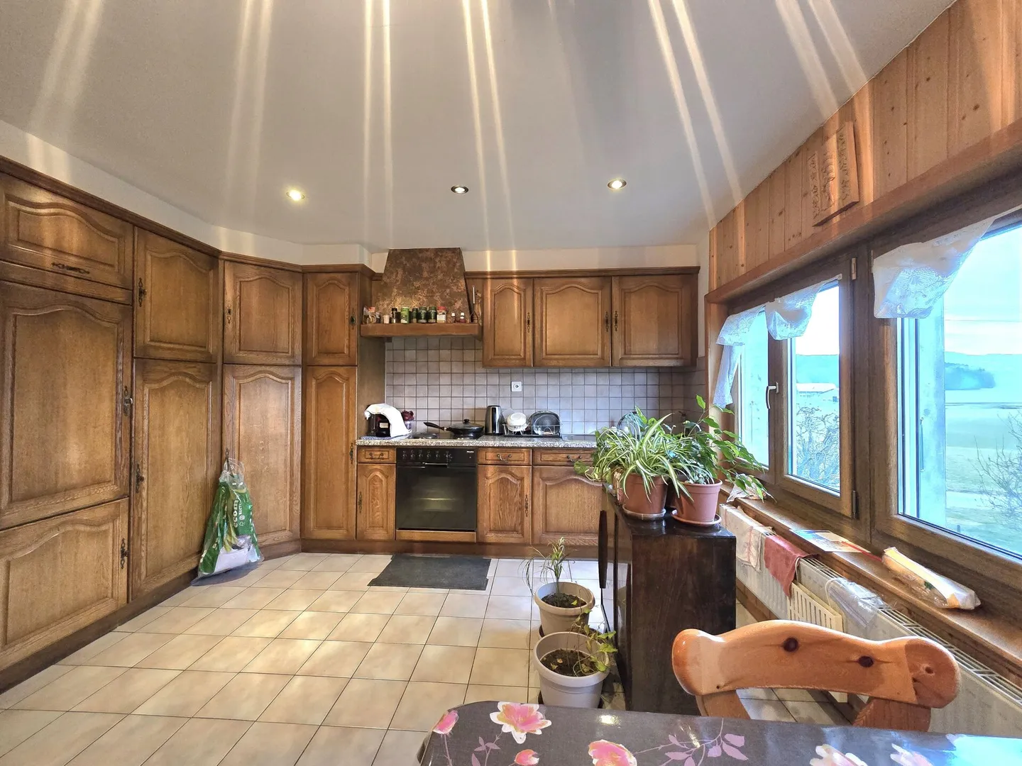 MIT EINEM GROSSEN PRIVATEN GARTEN - Foto 2 von 7