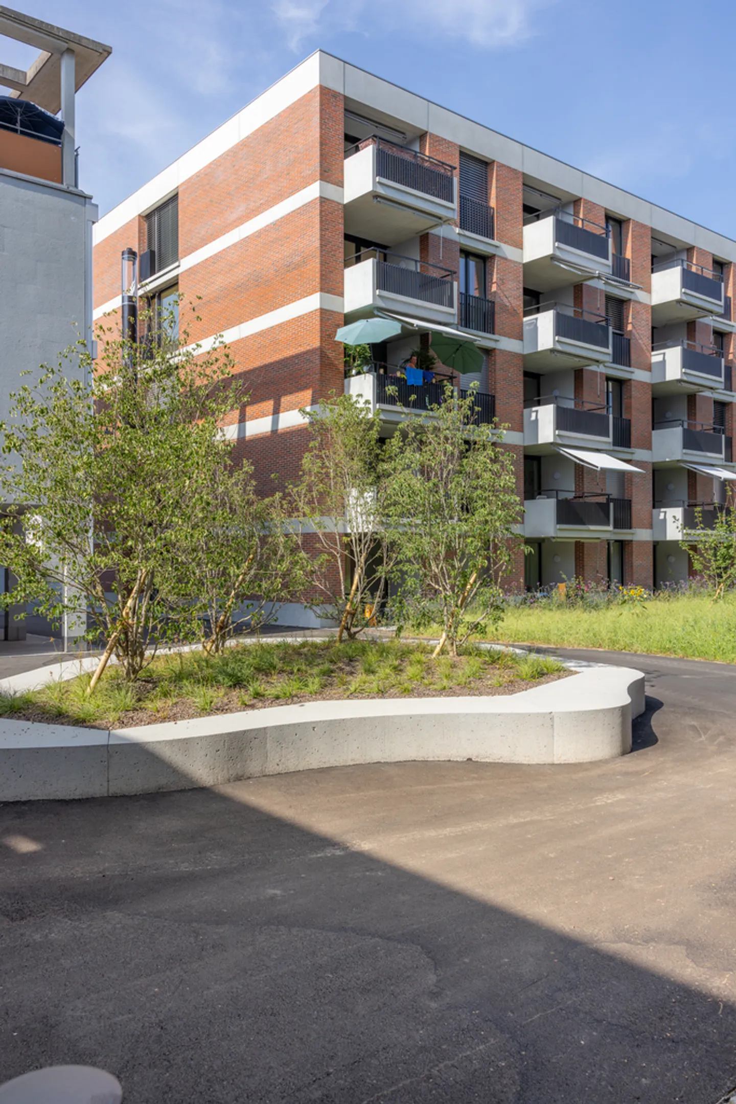 Ampio appartamento di 2,5 stanze a Zofingen - Foto 1 di 6