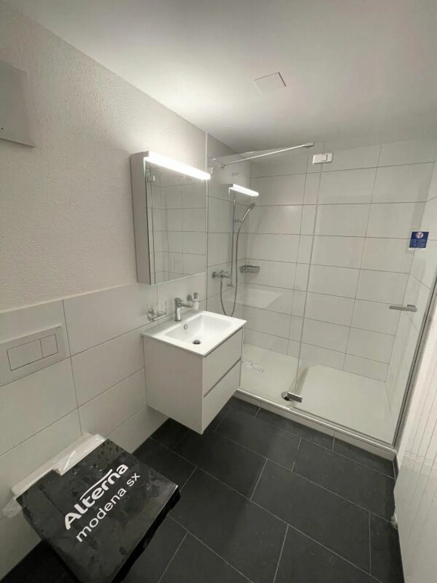 Appartement fraîchement rénové avec espace de sièges vert - Photo 4 sur 9