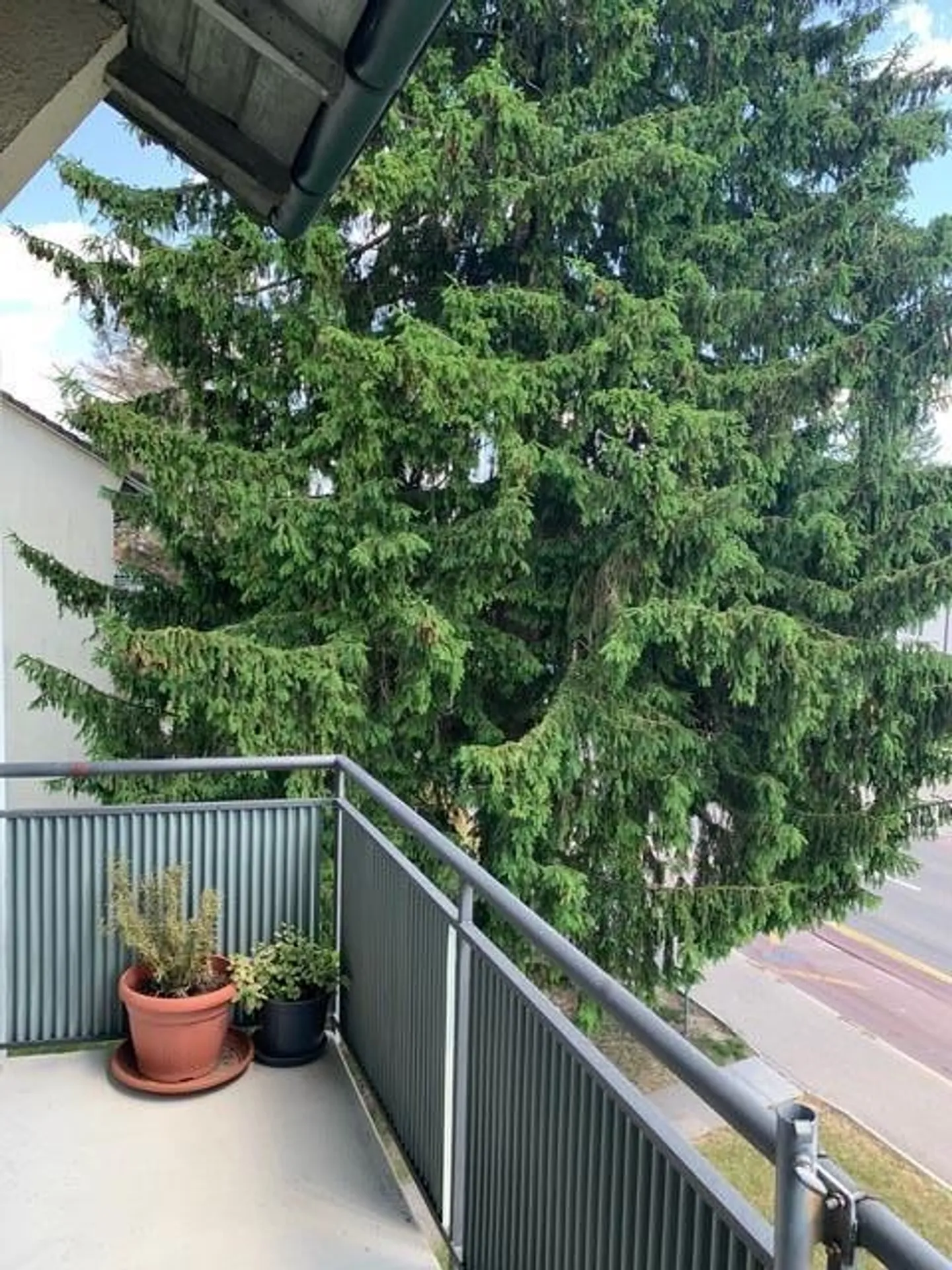 Appartamento 4 stanze a buon mercato - Foto 7 di 15