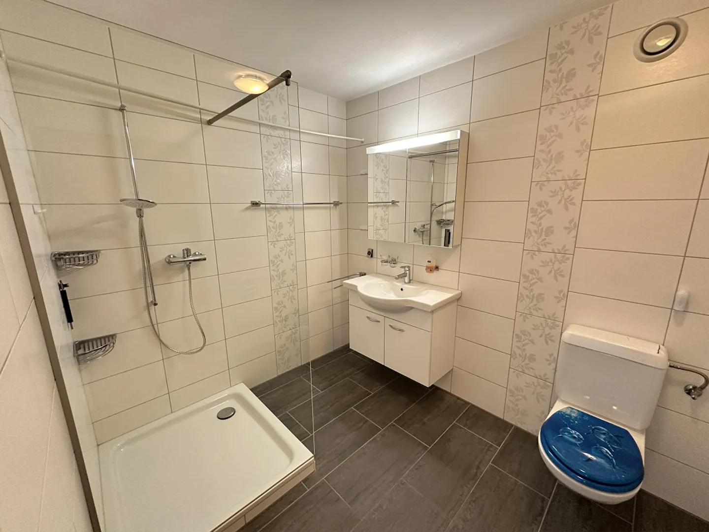 Geräumige Wohnung in Döttingen - Foto 9 von 10