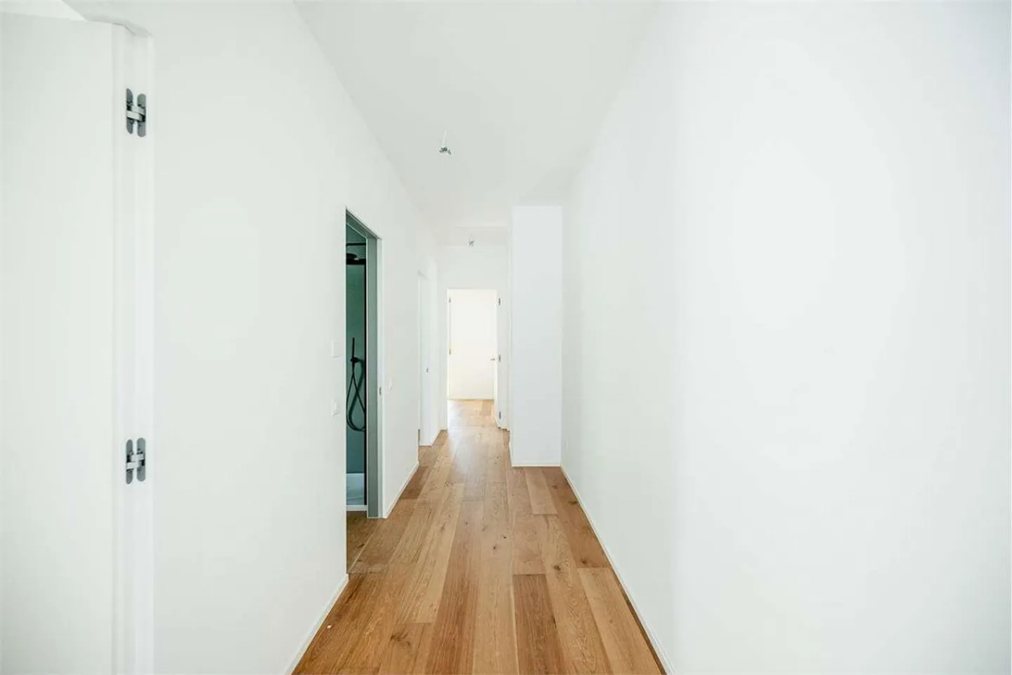 Attico luminoso 4.5 con balcone e vista lago - Foto 11 di 13