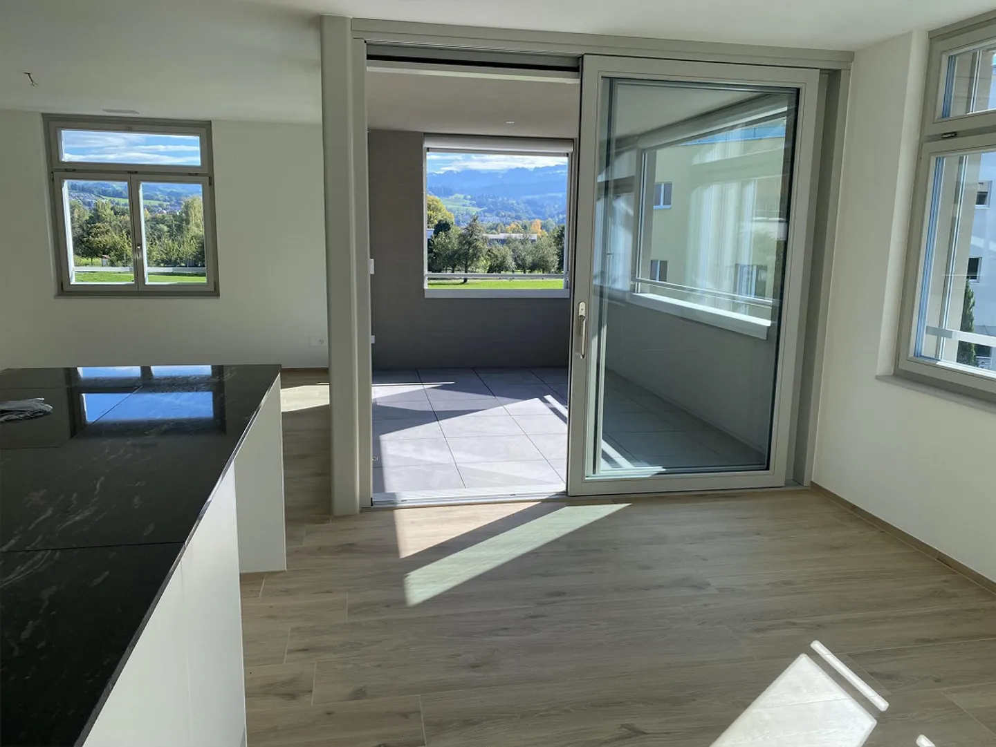 4.5-room new apartment - quiet, central, in the green with Alpstein view - Photo 4 of 30