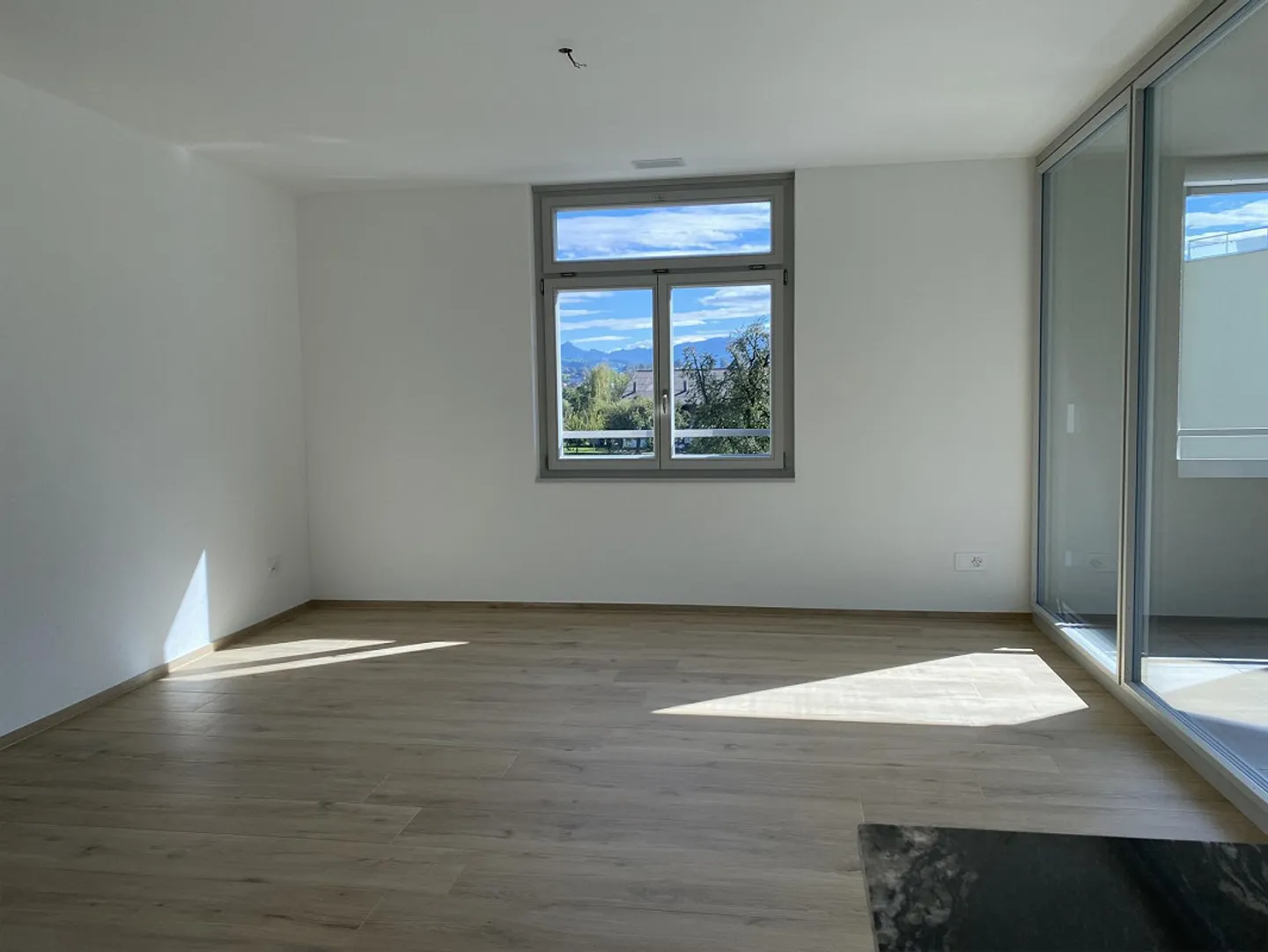 4.5-room new apartment - quiet, central, in the green with Alpstein view - Photo 5 of 30