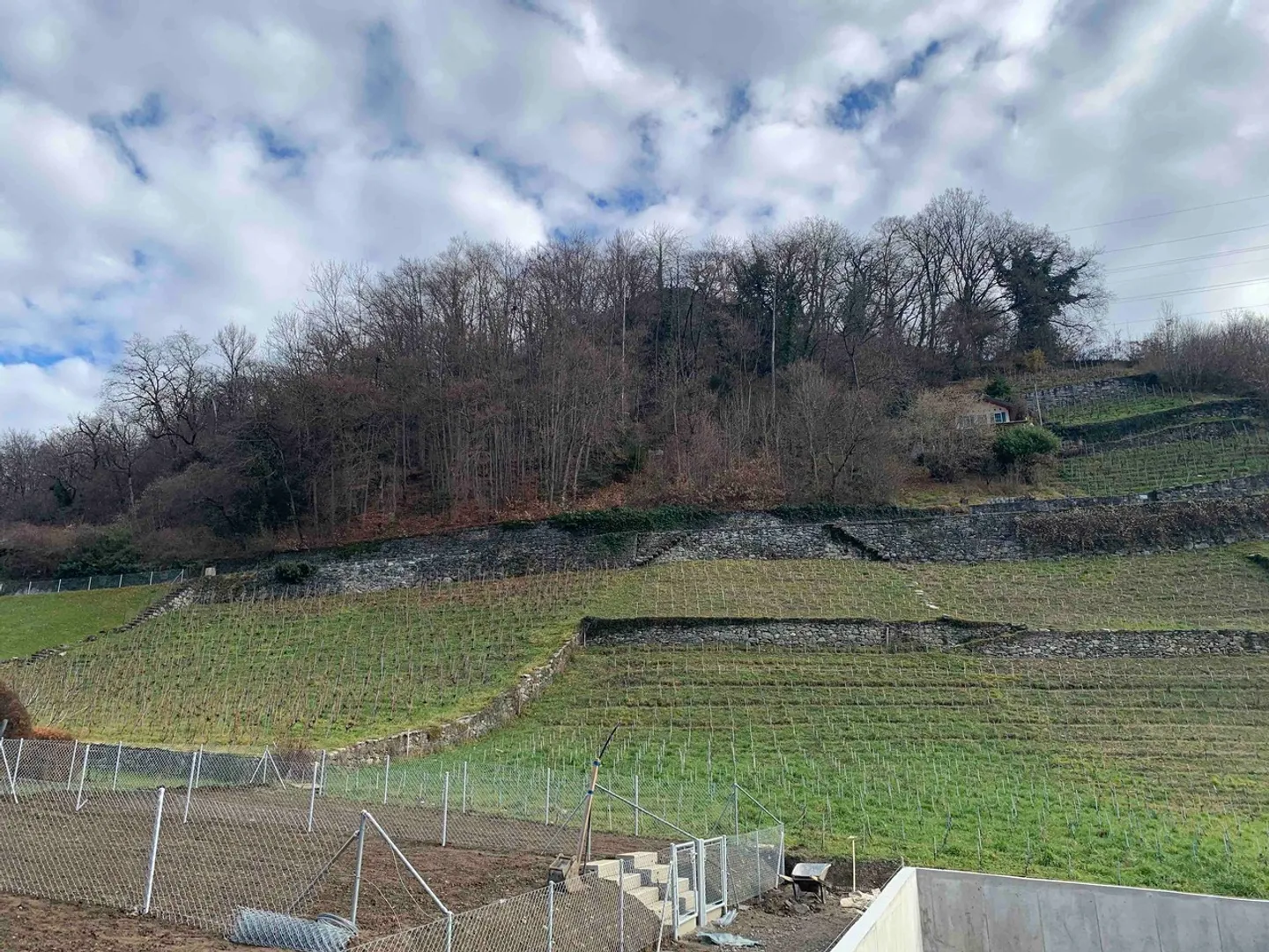 Neue 3,5-Zimmer-Wohnung im 1. Stock mit hellem Ambiente und Aussicht - Foto 8 von 9