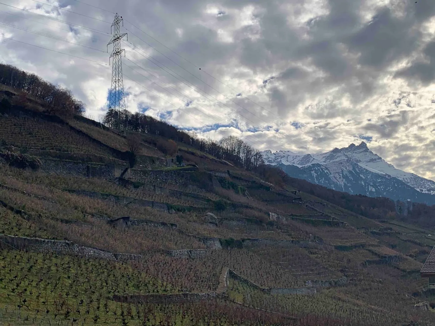 Neue 3,5-Zimmer-Wohnung im 1. Stock mit hellem Ambiente und Aussicht - Foto 9 von 9