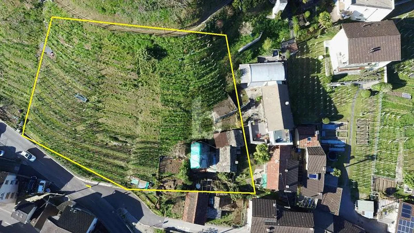 Terreno edificabile in affitto - Foto 1 di 3