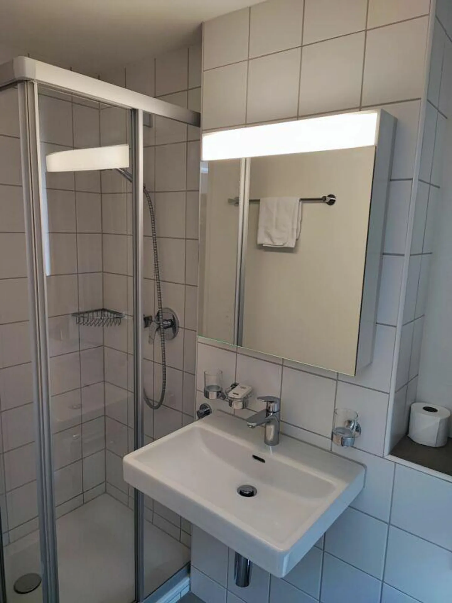 Tegiatscha Studio Dachsgeschoss - Photo 4 of 4