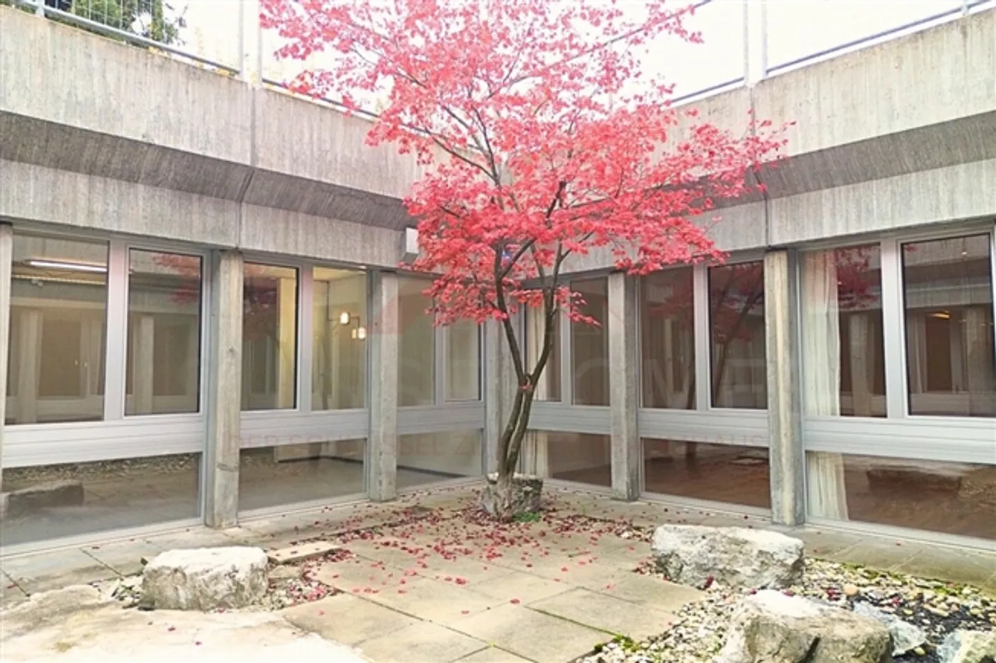 Propriété résidentielle et commerciale attrayante à Thörishaus - Photo 1 sur 20