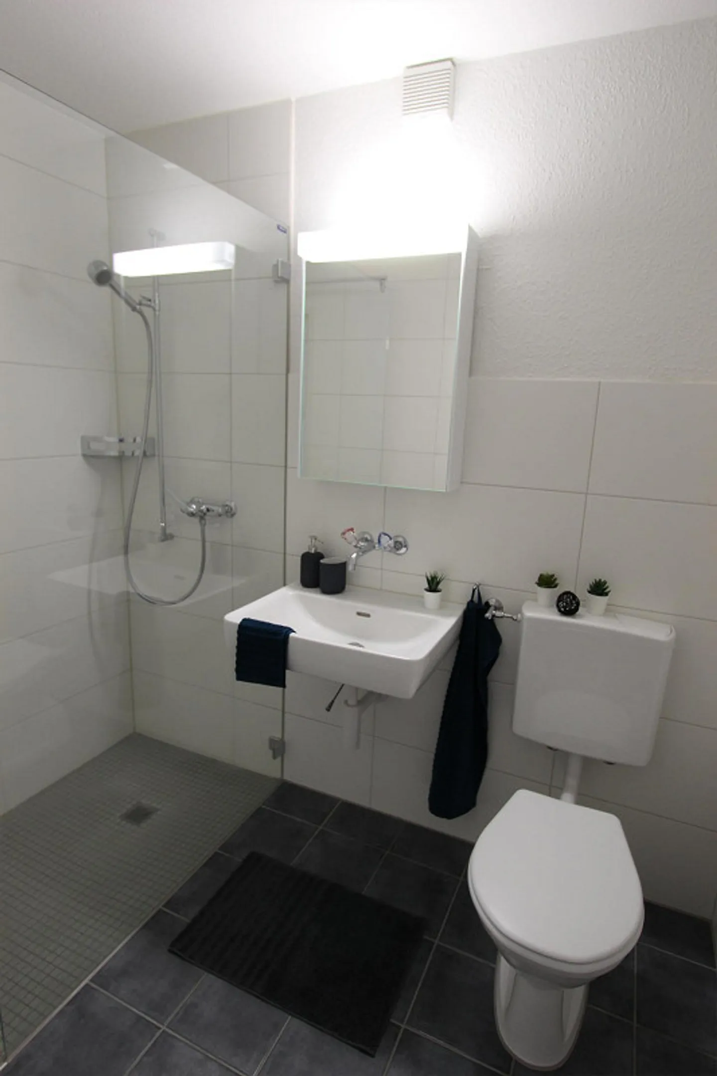 Beautiful apartment with great layout - Photo 3 of 7