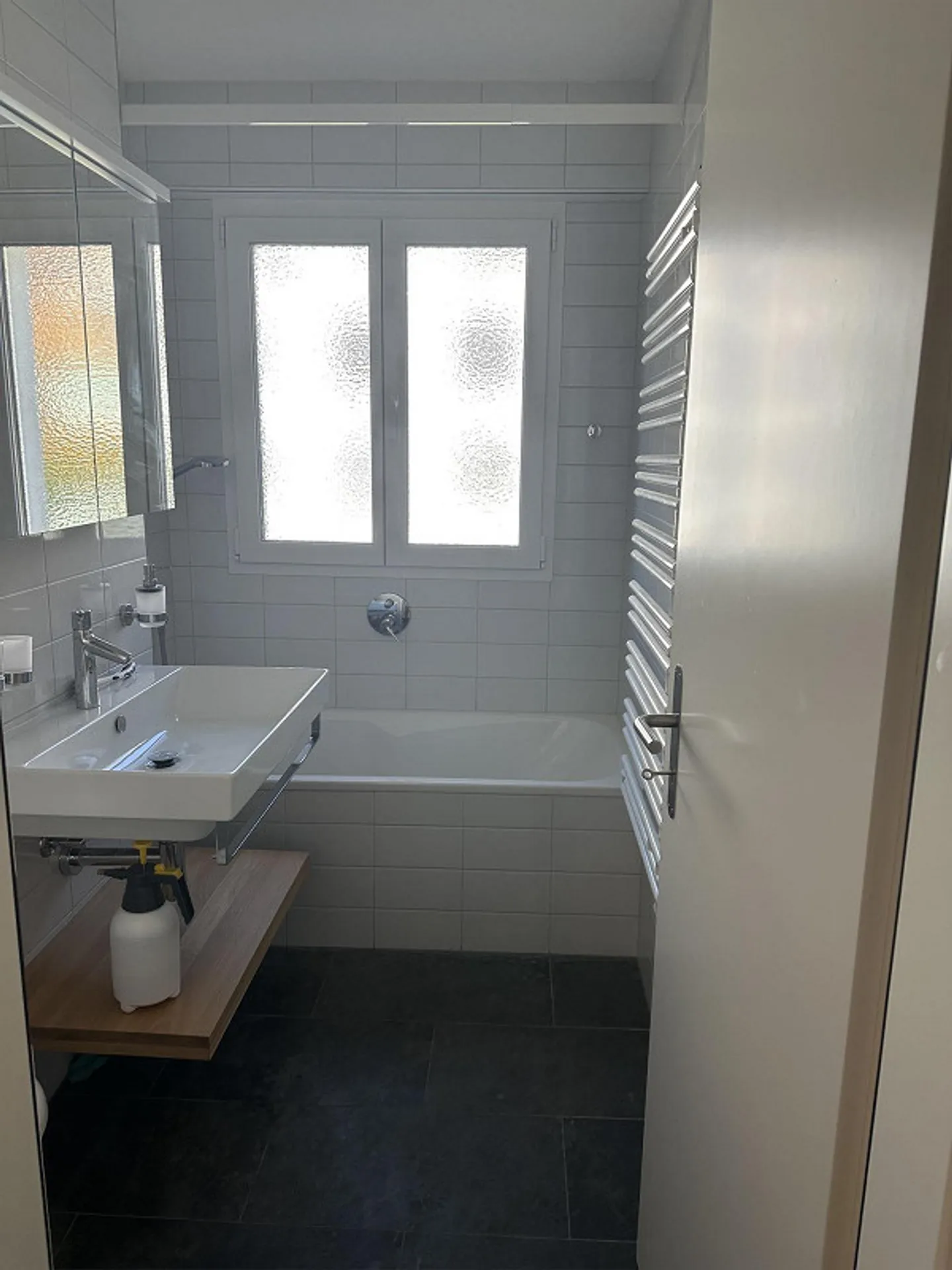 4.5 Room Apartment Chur Masans - Photo 3 of 10
