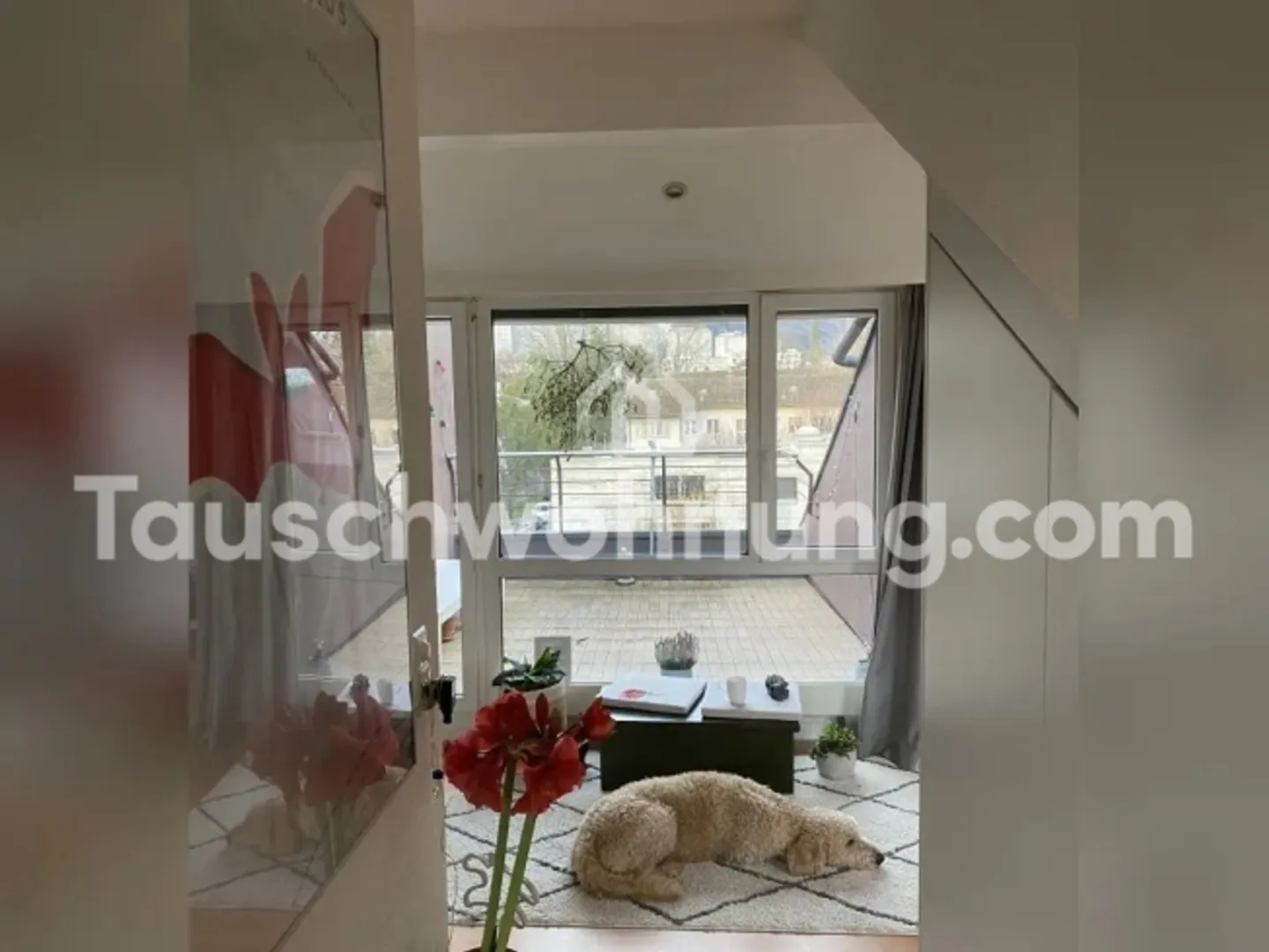[ÉCHANGE D'APPARTEMENT] Appartement sous les toits avec terrasse dans le quartier 3 - Photo 7 sur 20