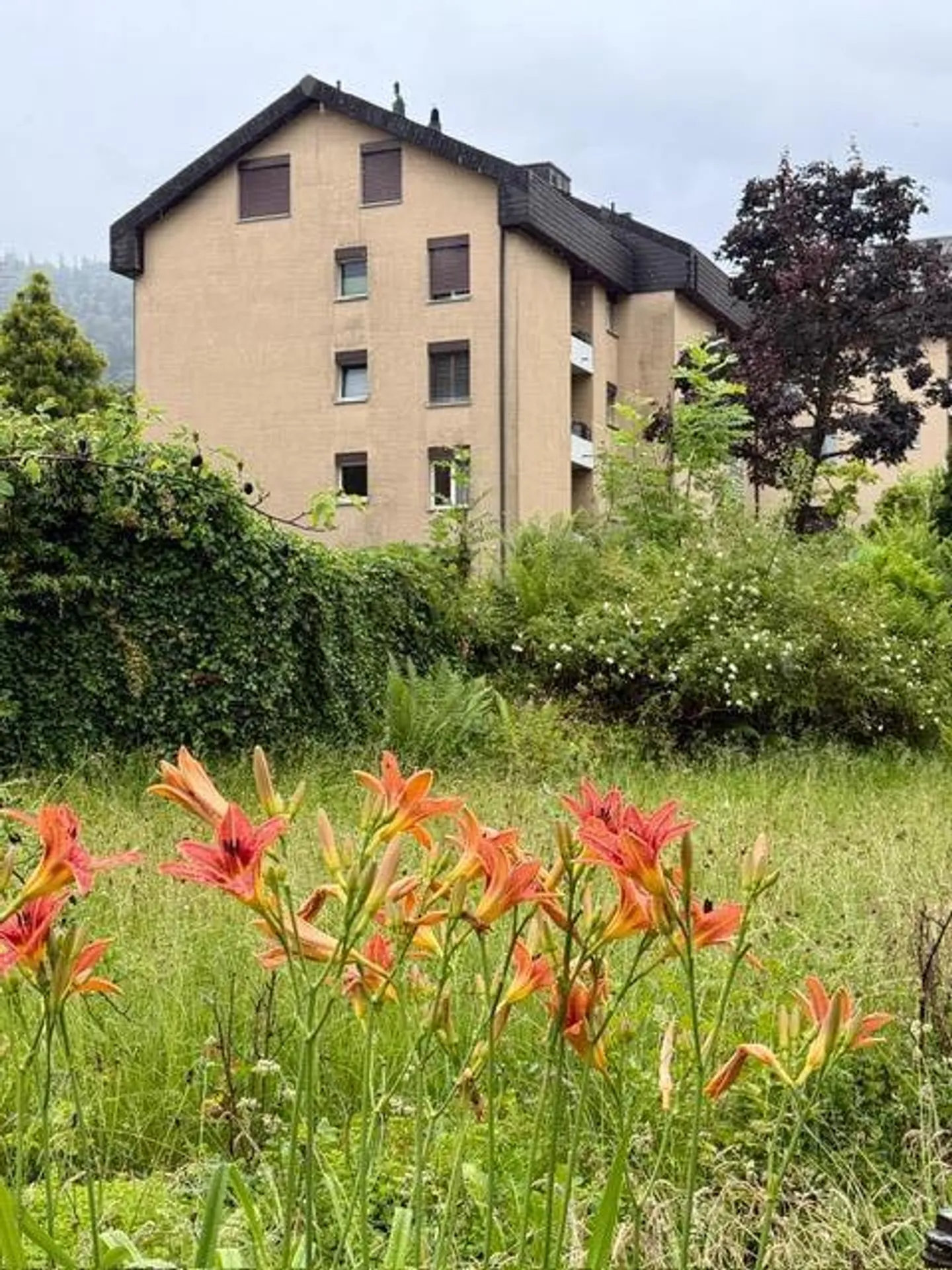 Appartamento tranquillo con 3 stanze a Obernau - Foto 7 di 8
