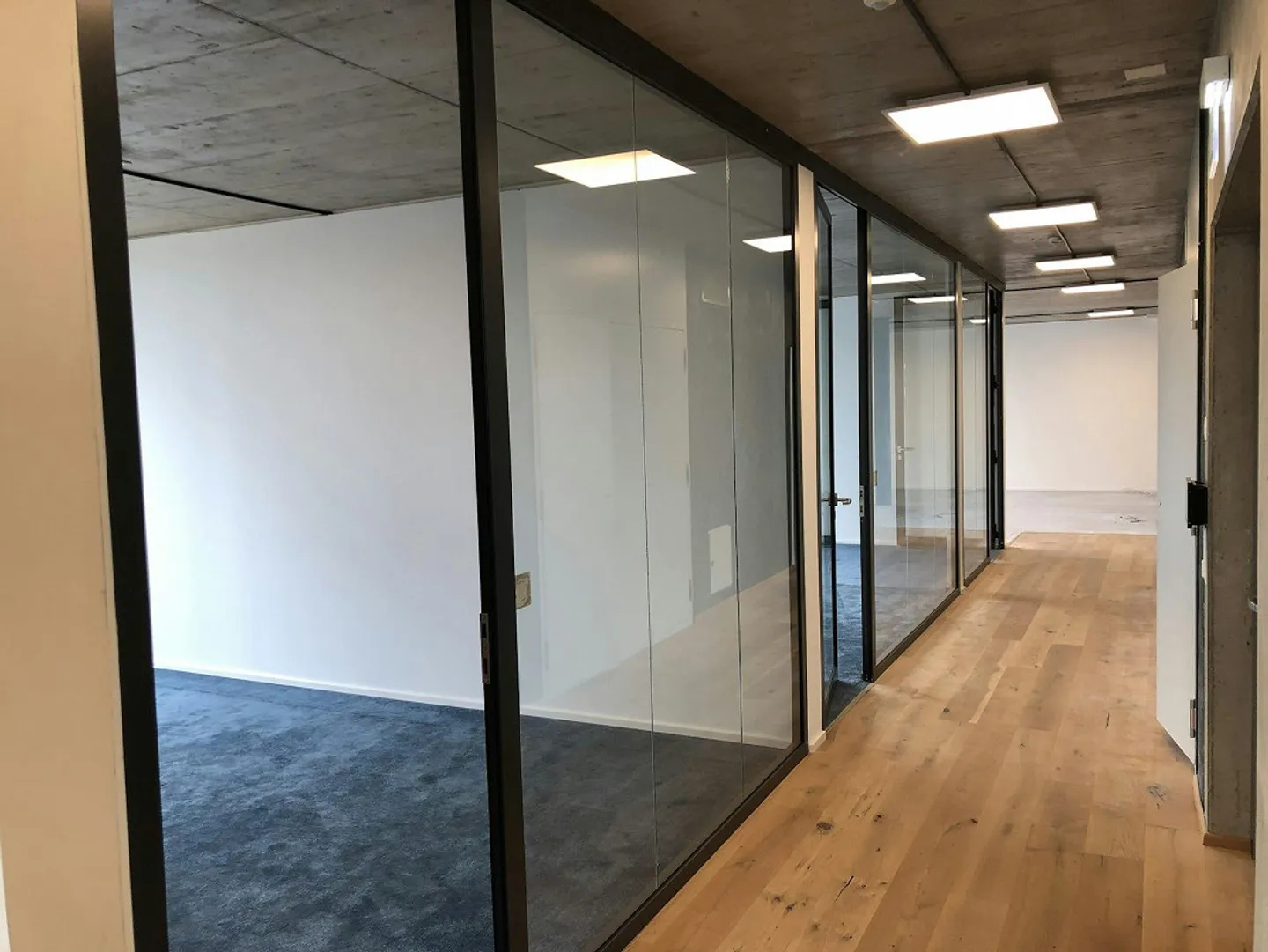 Punto di accesso aziendale Rietpark Schlieren - Foto 10 di 13