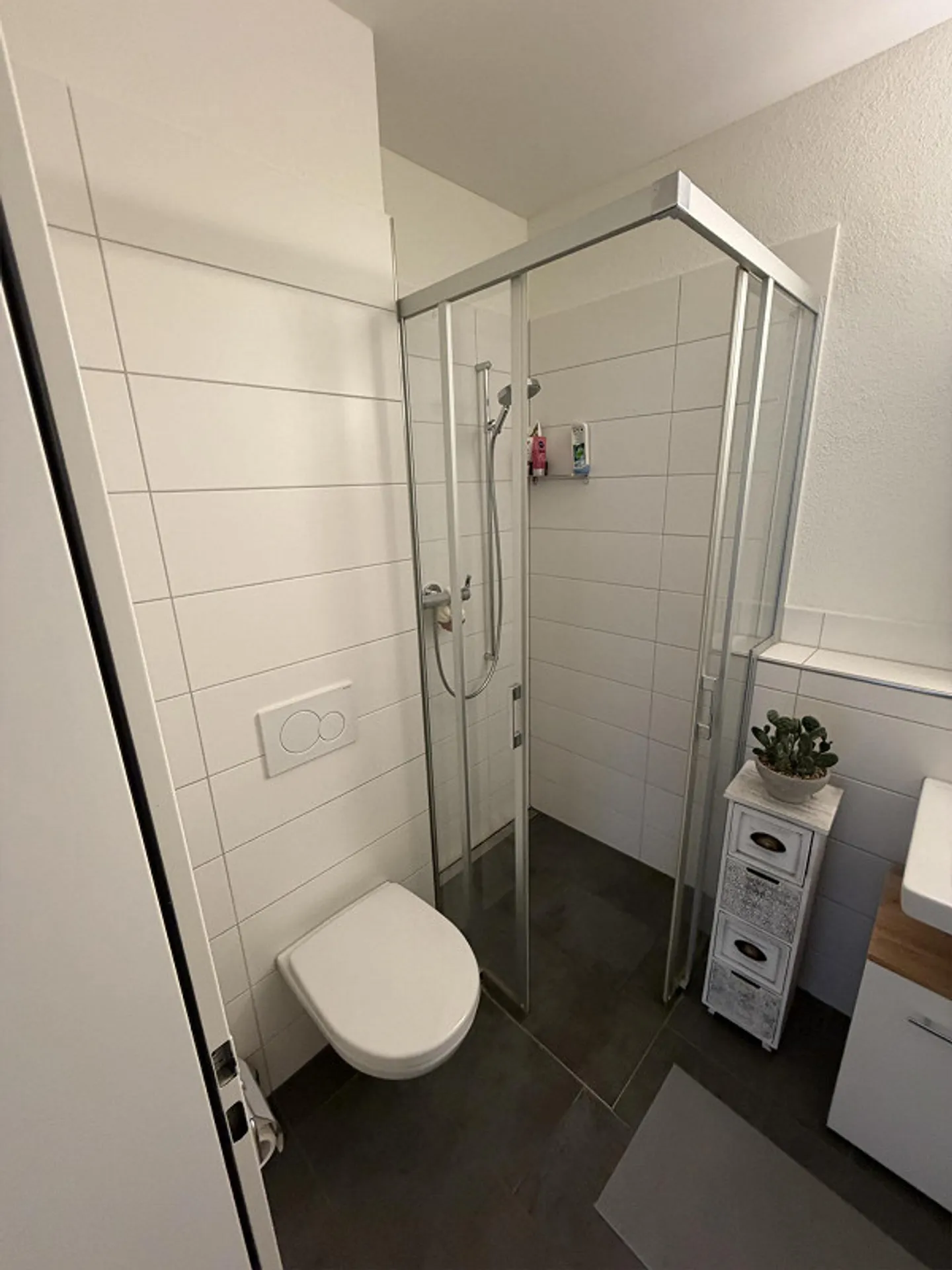 Modern 2.5-room apartment with garden in Ossingen | Looking for a new tenant - Photo 8 of 17