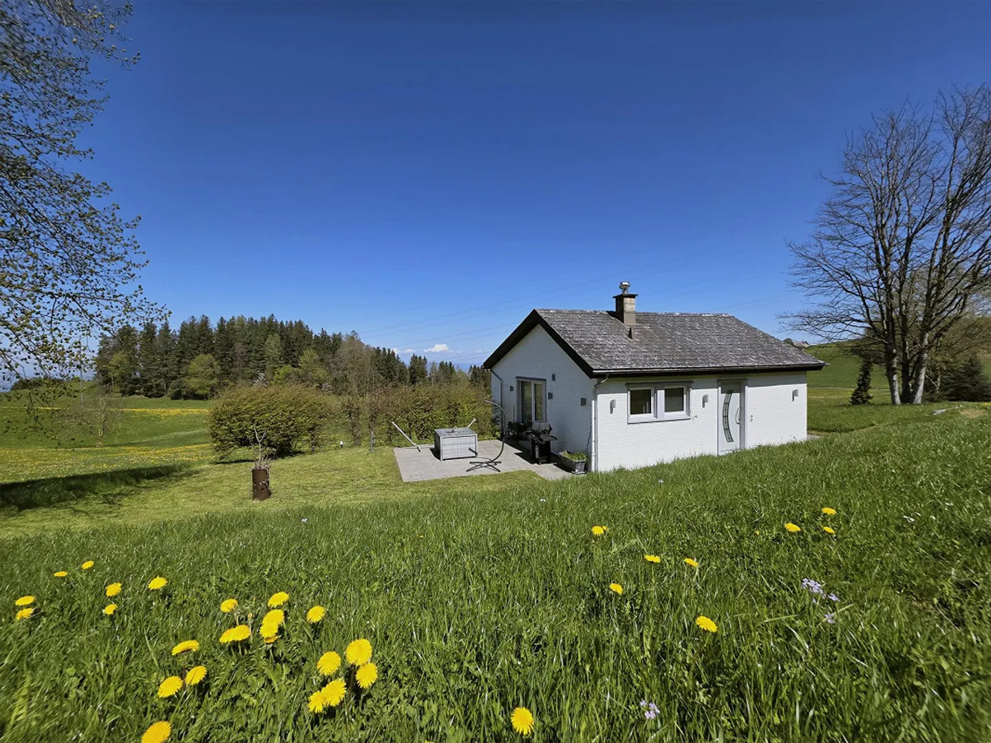 NATURE PURE - Maison confortable au milieu de la verdure ! - Photo 1 sur 9