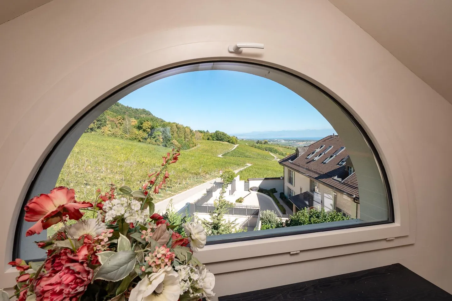 Magnifica proprietà, vista sul lago e sulle Alpi - Foto 11 di 13