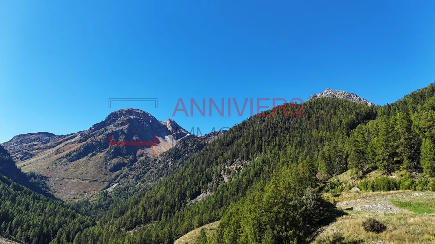 Charming 3.5 room renovated apartment with large balcony in Grimentz - Photo 21 of 30