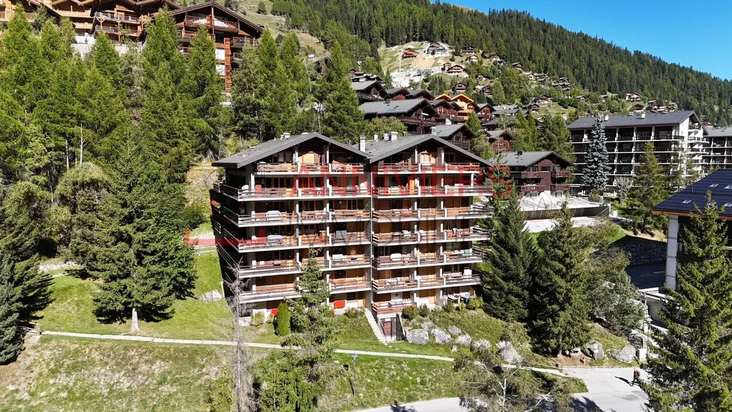 Charming 3.5 room renovated apartment with large balcony in Grimentz - Photo 24 of 30