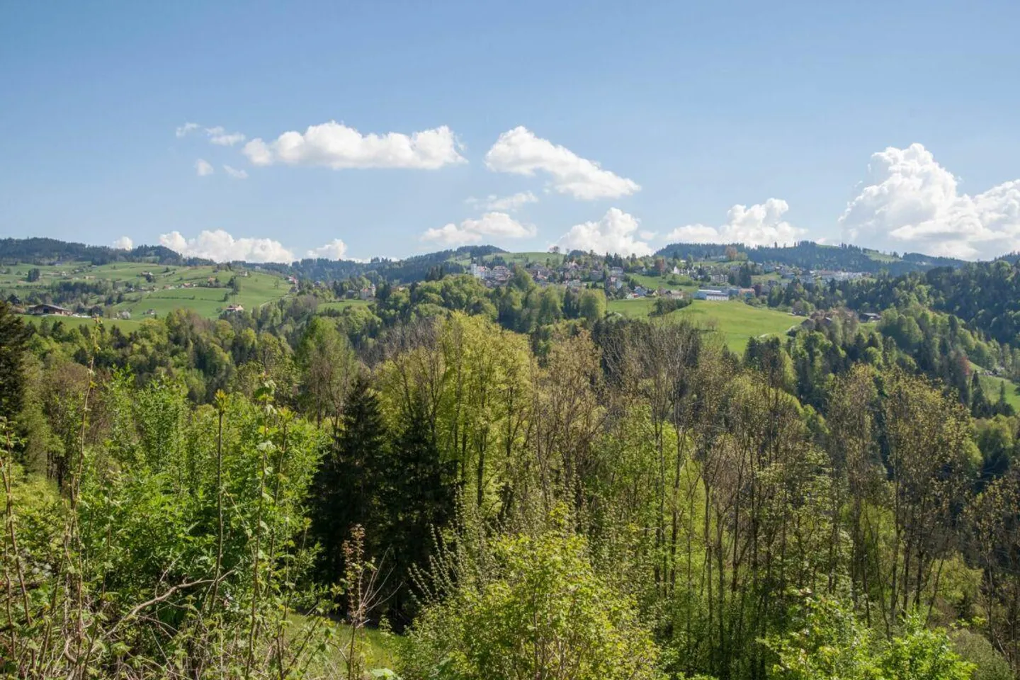 Nuova costruzione 6 1/2 camere casa Appenzeller a Rehetobel - Foto 4 di 5