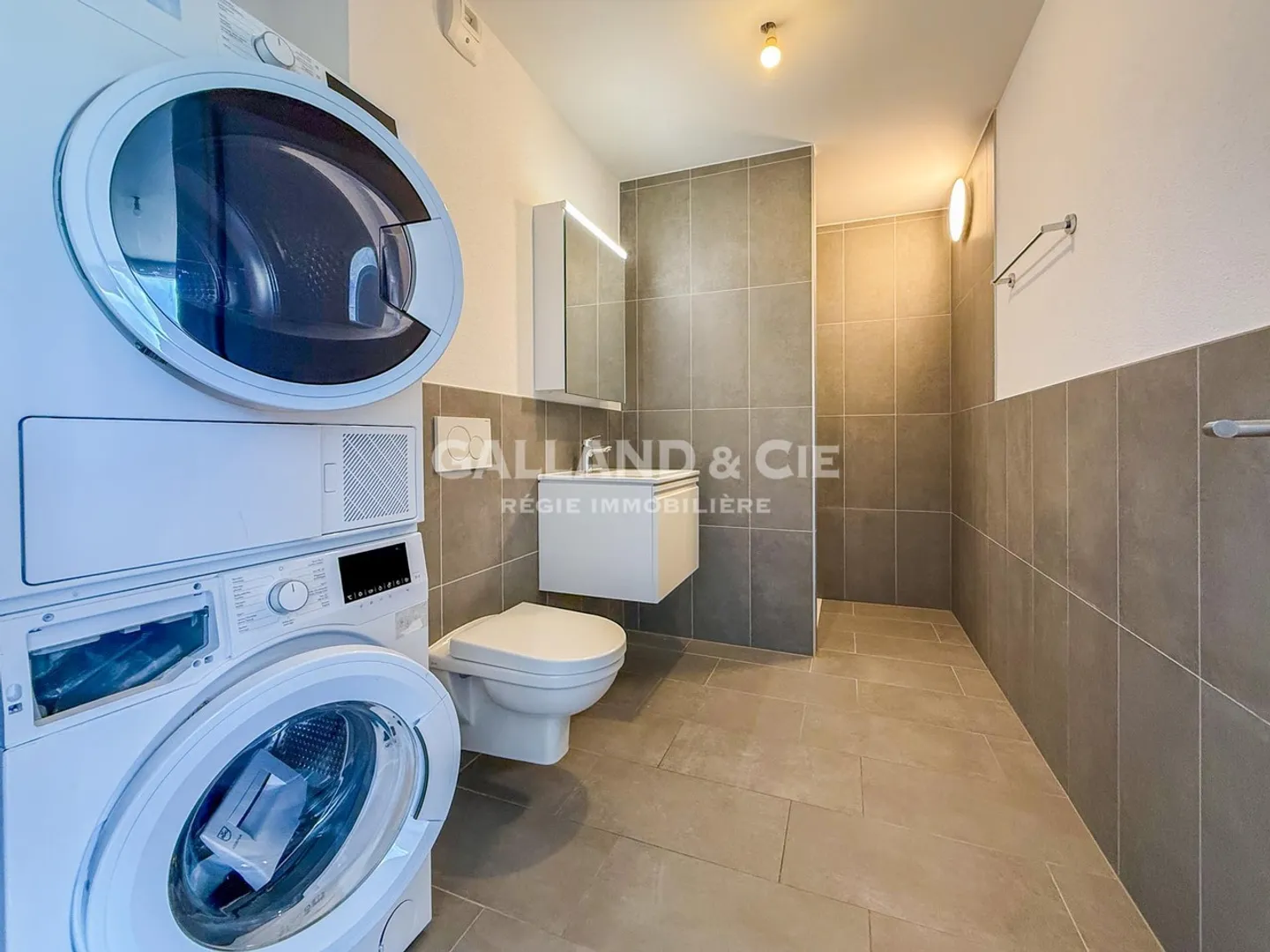 Appartement 4.5 pièces - Photo 6 sur 9