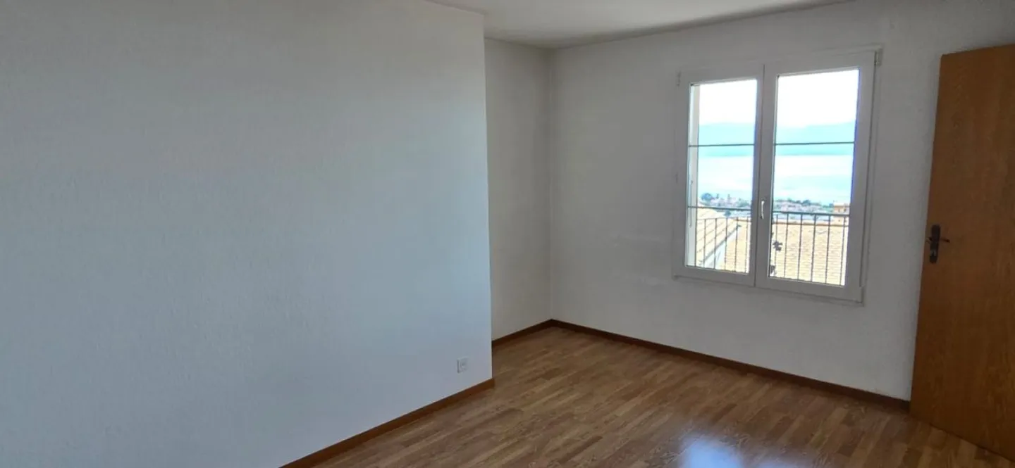 Beautiful Apartment 4.5 Rooms / 3 Bedrooms / Terrace with Lake and Mountain View - Photo 7 of 13