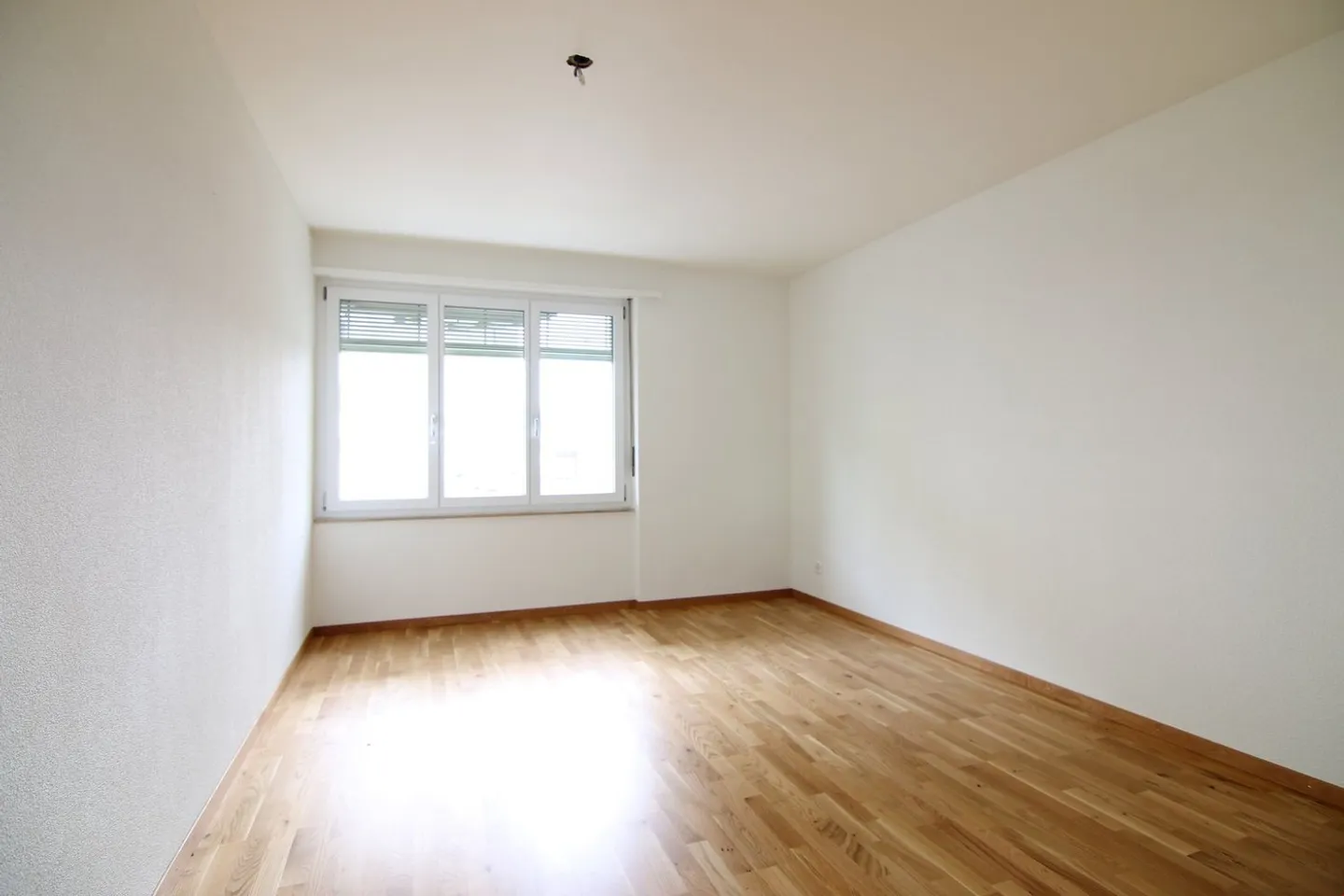 Renovated 3-Room Apartment on the Outskirts - Photo 5 of 8