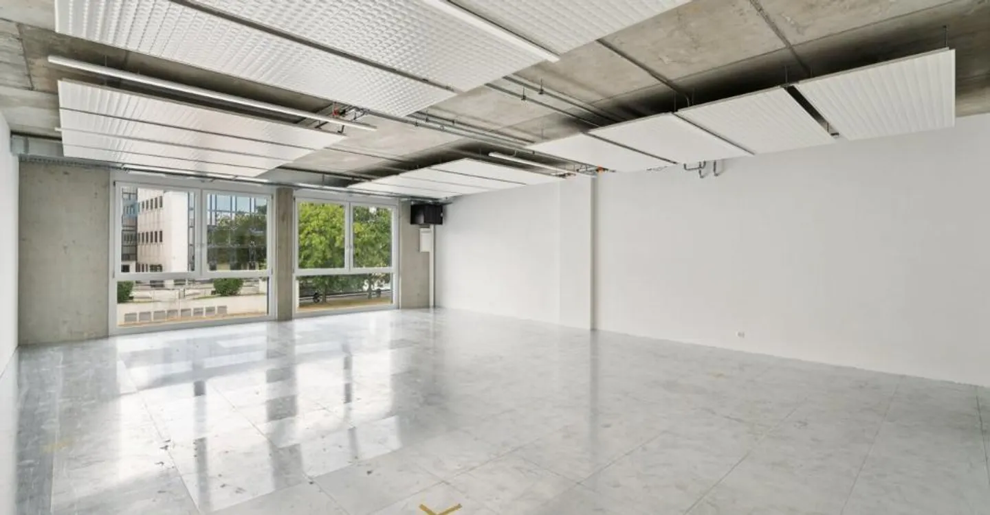 SPARK - 83,8 m2 - Plug & Play Werkstattfläche in Gland - Foto 3 von 9