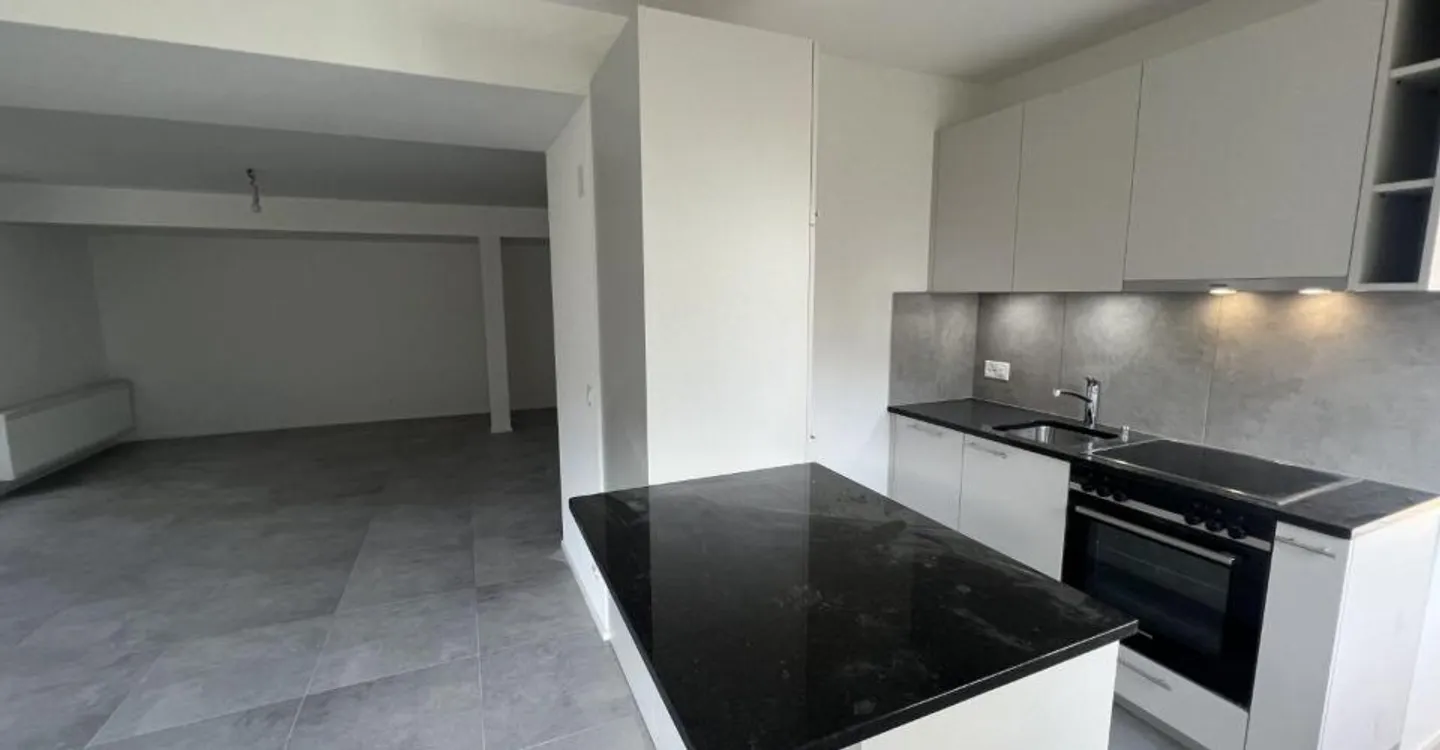 Renovated 1.5 Room Apt - Photo 2 of 6