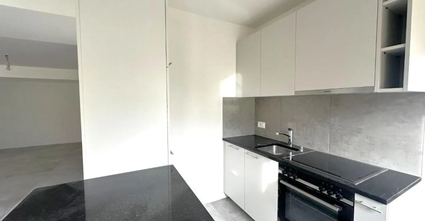 Renovated 1.5 Room Apt - Photo 3 of 6