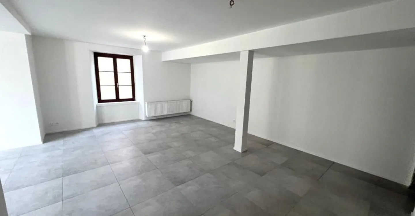 Renovated 1.5 Room Apt - Photo 4 of 6