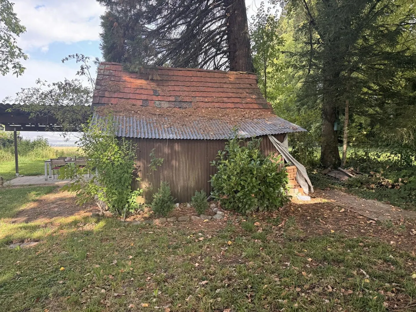 Charmantes Einfamilienhaus am Waldrand - Foto 5 von 14